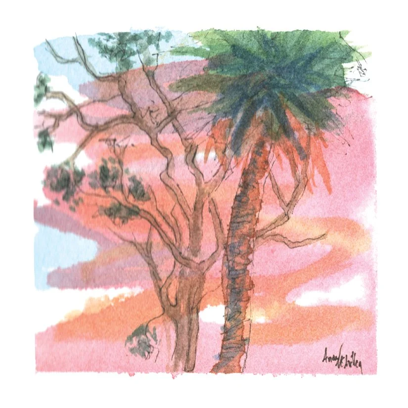 Mead Pine III. Ink & Watercolor. 2.75” x 2.75” Hahnemühle 100% mould-made watercolor paper.