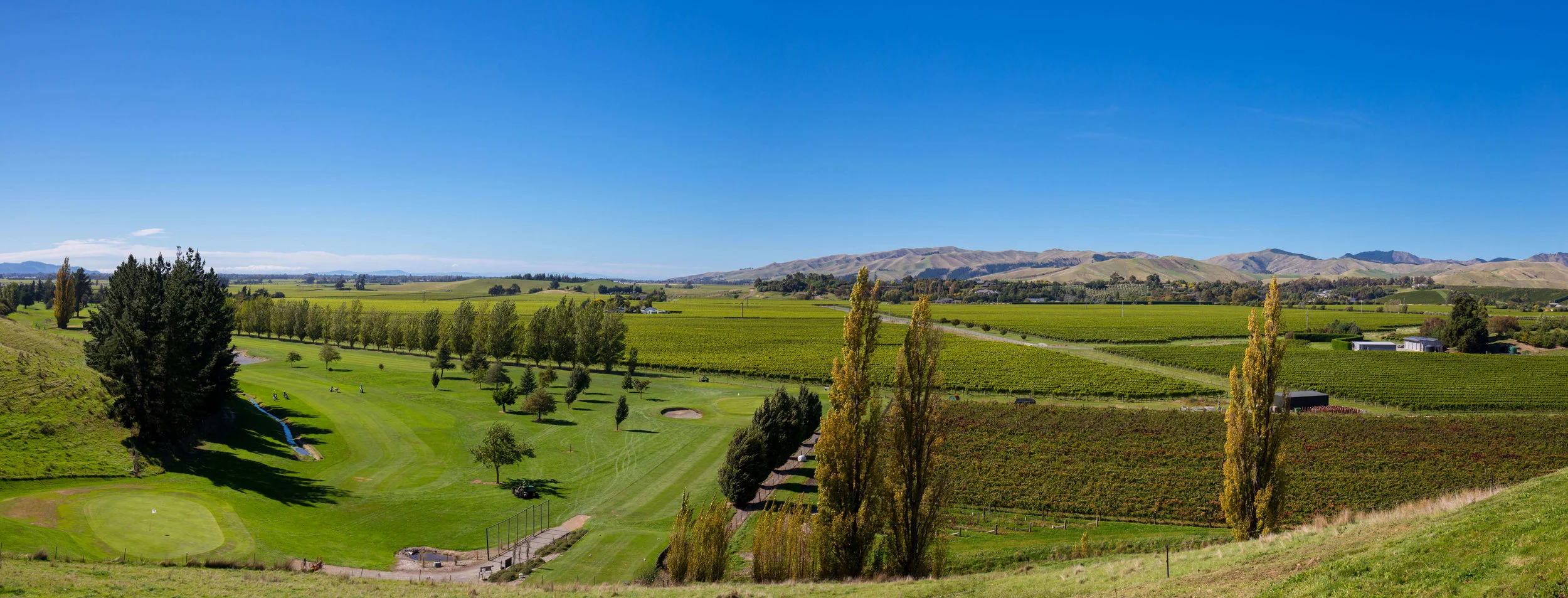 067 TheNineteenth.jpg