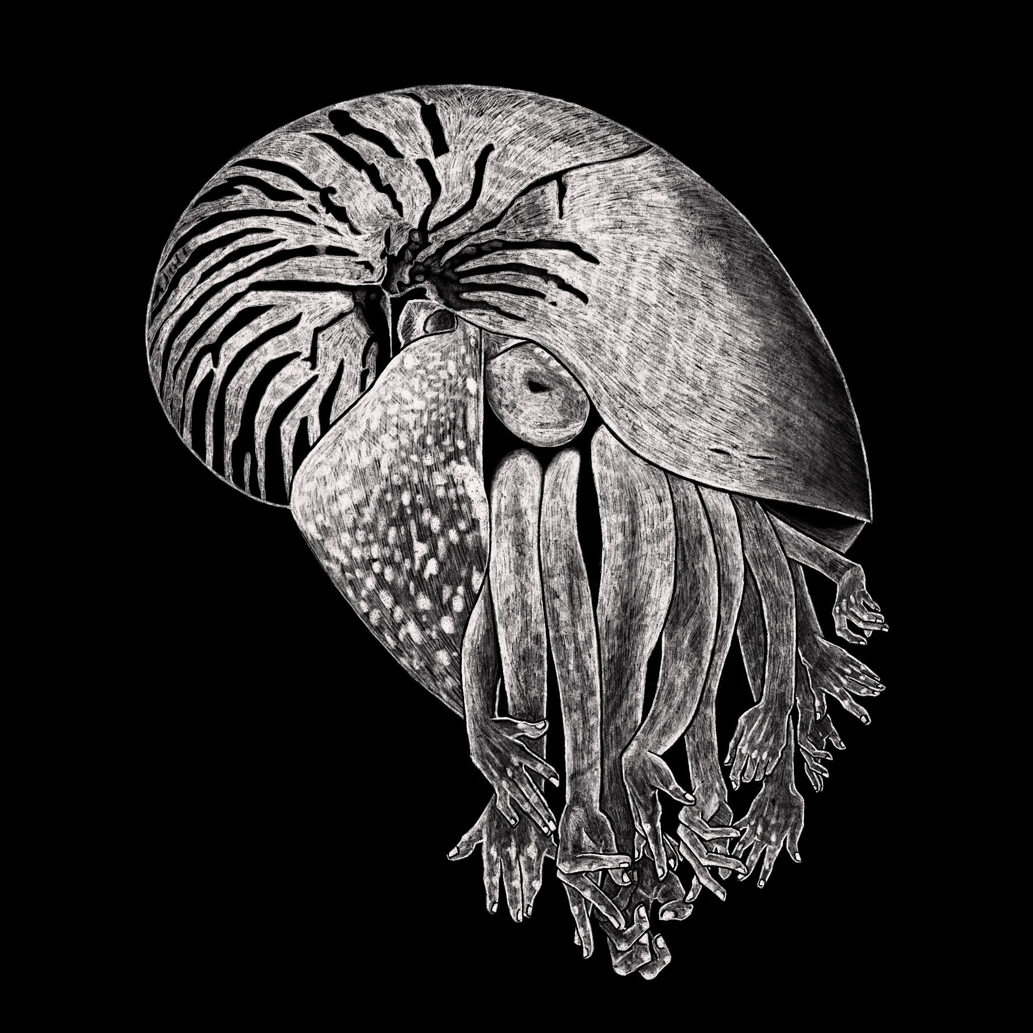 Nautilus
