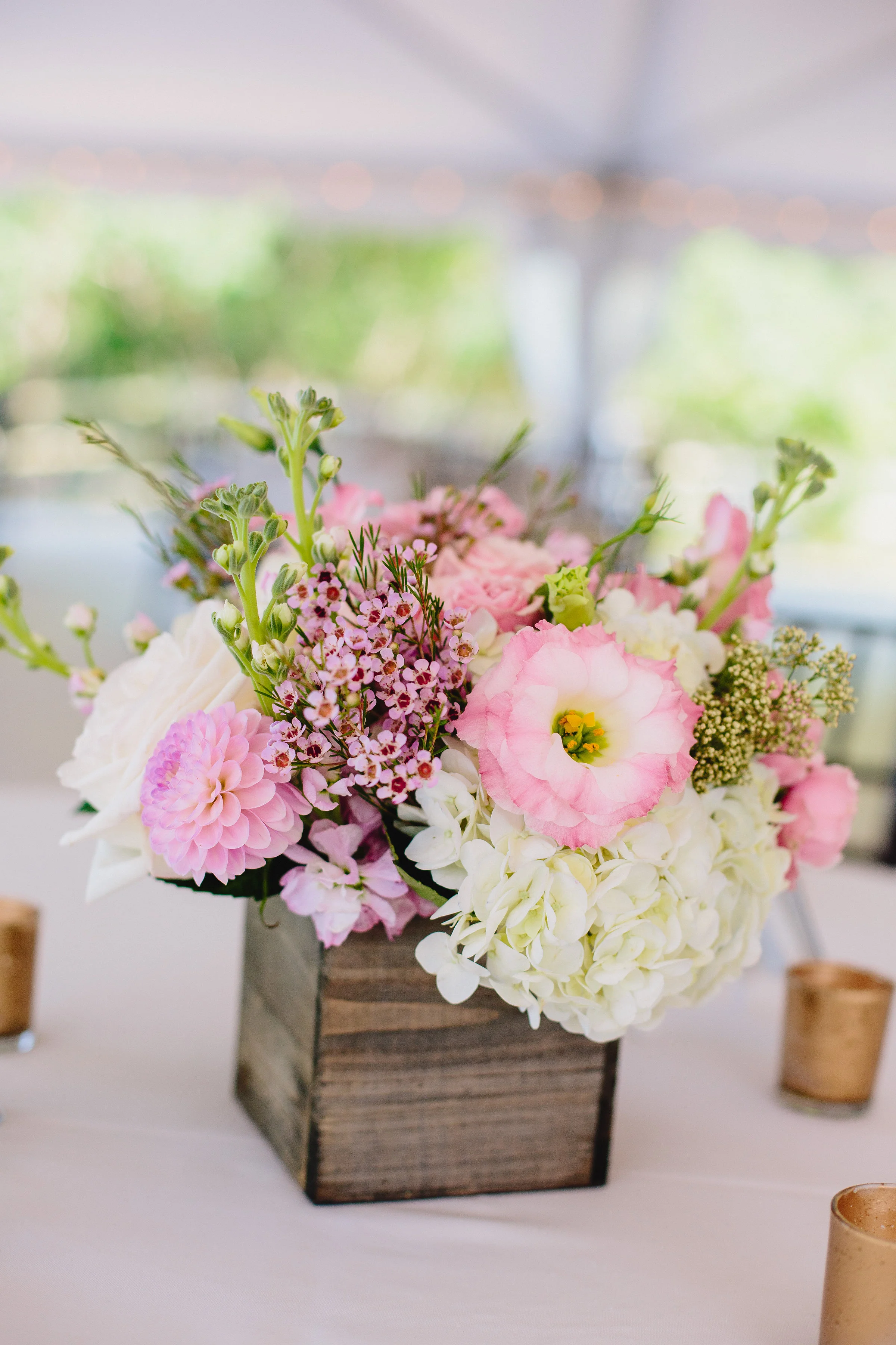 411-ZXW_20160730_04-35-50-1253_AshleyLundgren-Wed.jpg