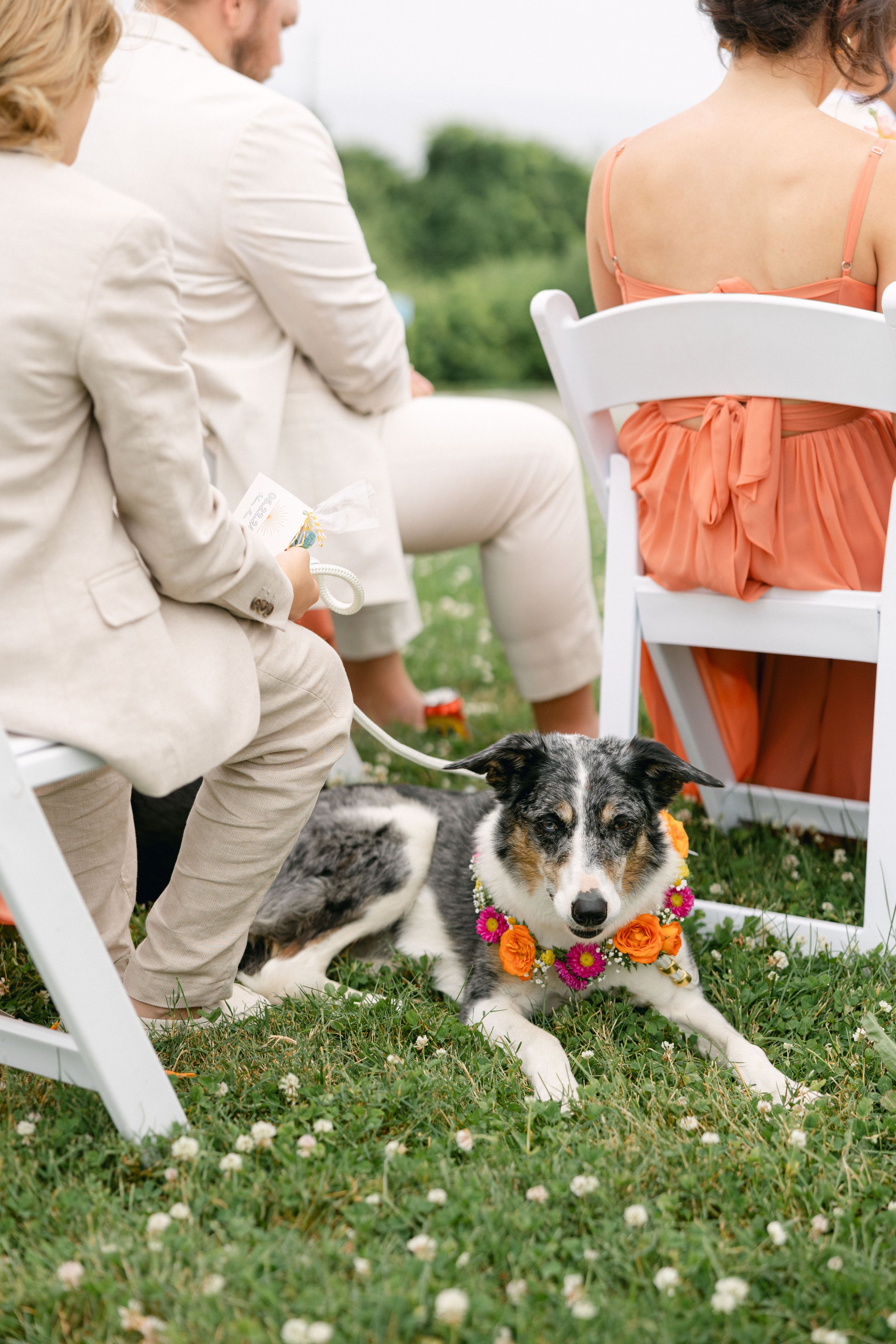 Danielle+Mike-Nauset-Beach-Inn-Wedding-465.jpeg