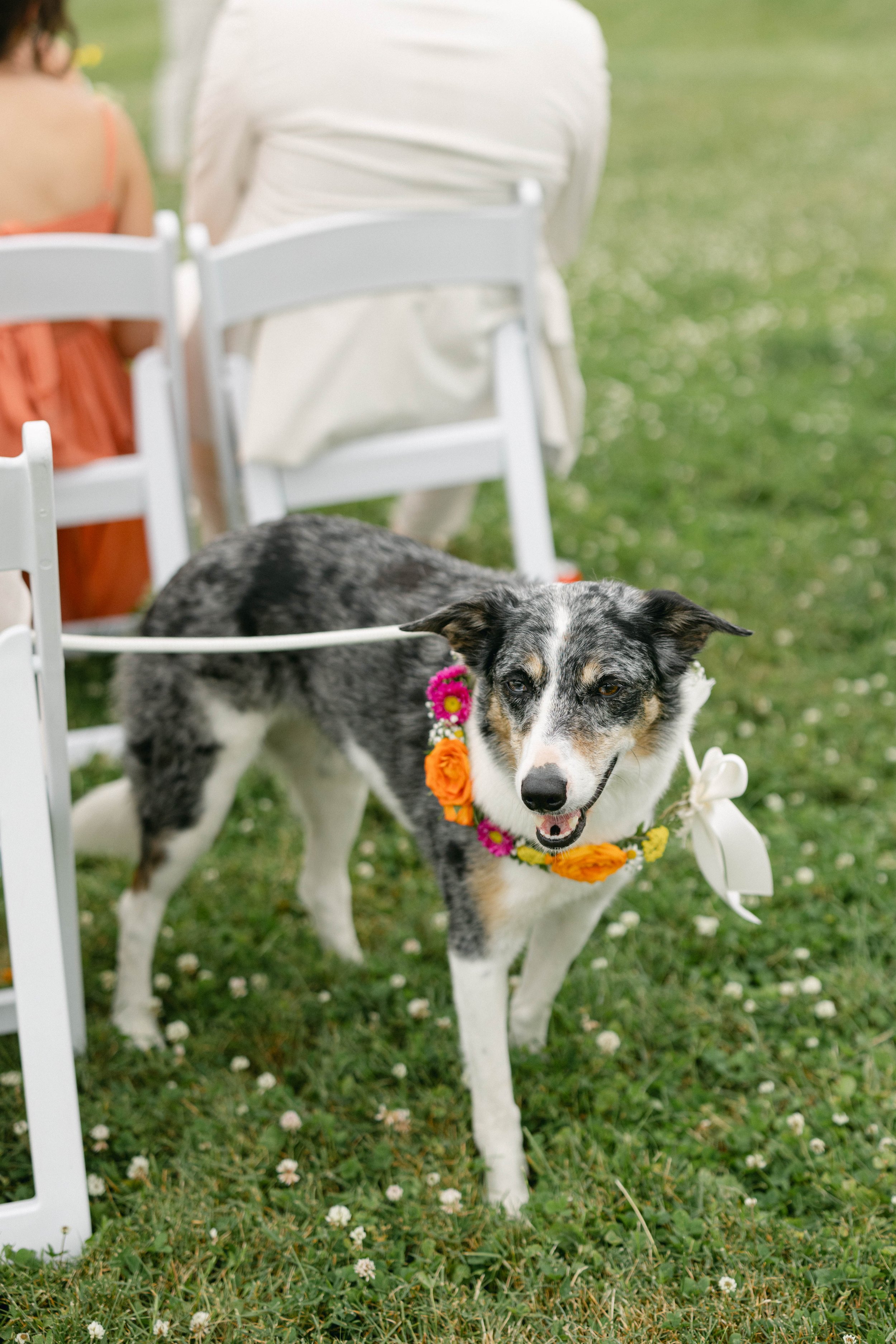Danielle+Mike-Nauset-Beach-Inn-Wedding-482.jpeg