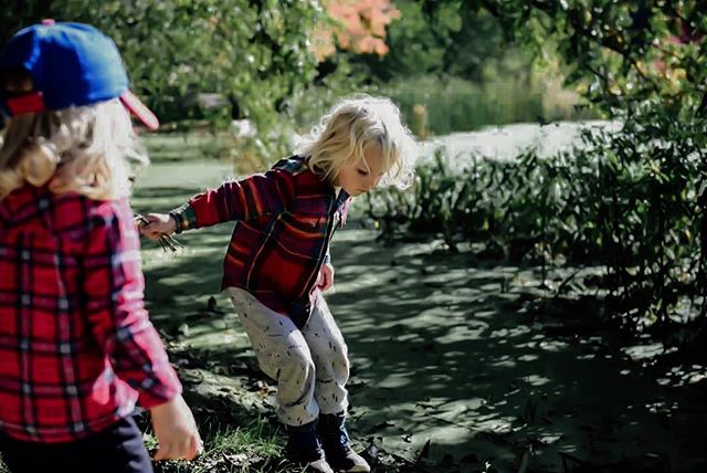 Why be inside when you can be outside?!
🐢 
The natural curiosity of kids is really something. 🍁
It is Autumn Pond Week in the homeschool curriculum Exploring Nature With Children. So, I reached out to our friends who are also doing this curriculum 