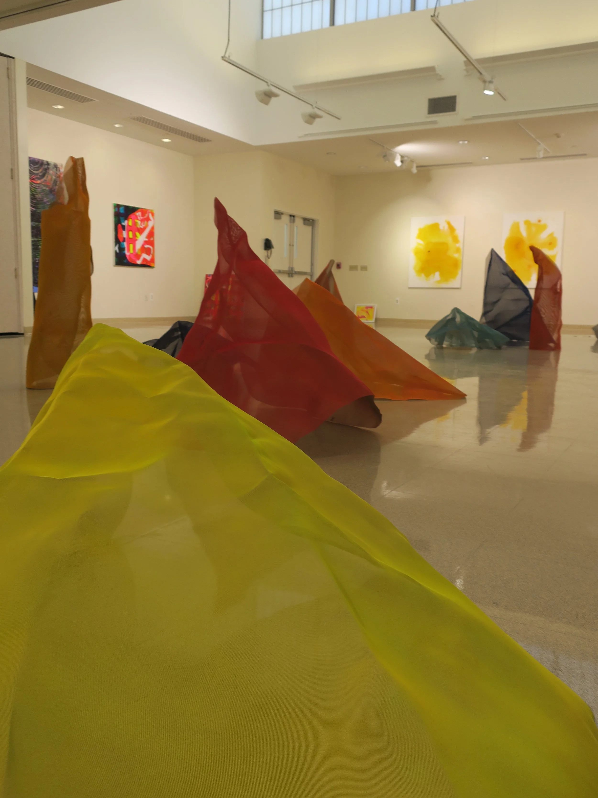 Vibrant, Gallery Bergen Installation