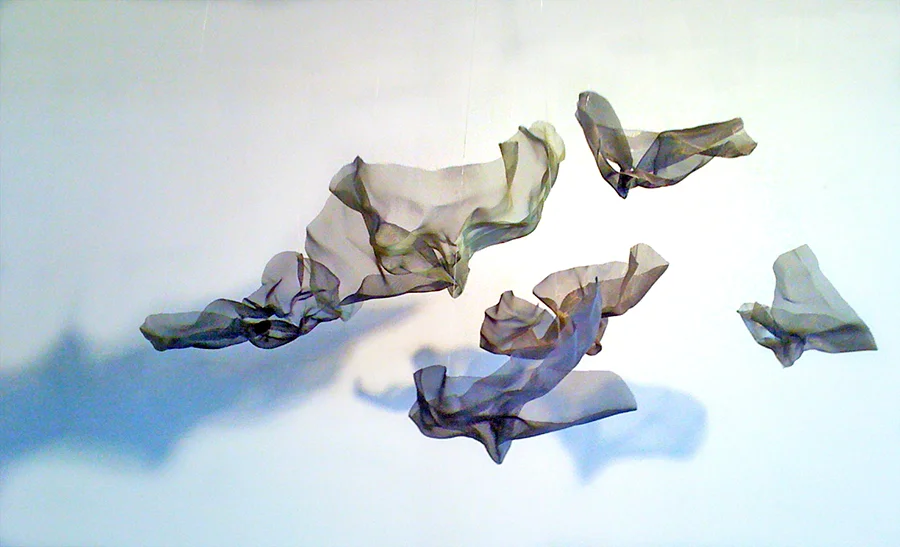 swarm