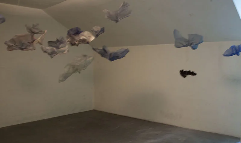 swarm