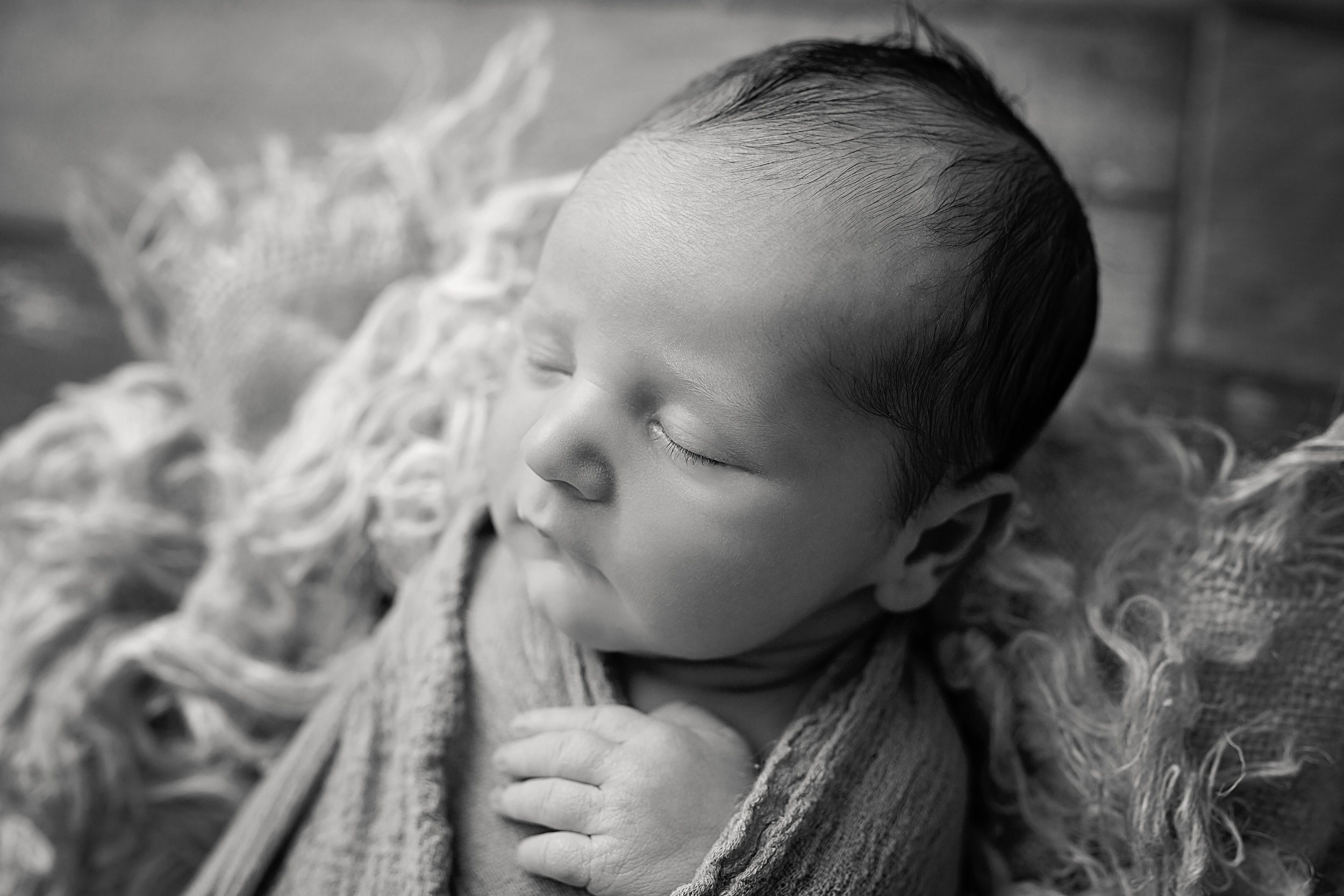 Shepard_newborn_0011.jpg