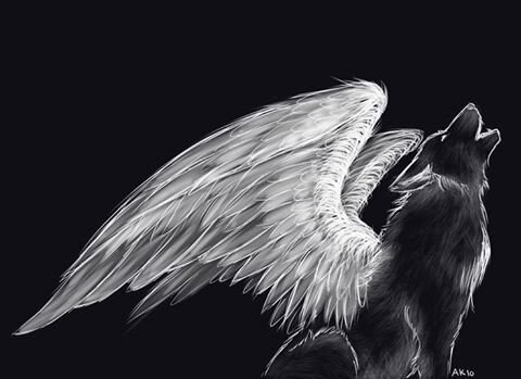 Wolf angel.jpg