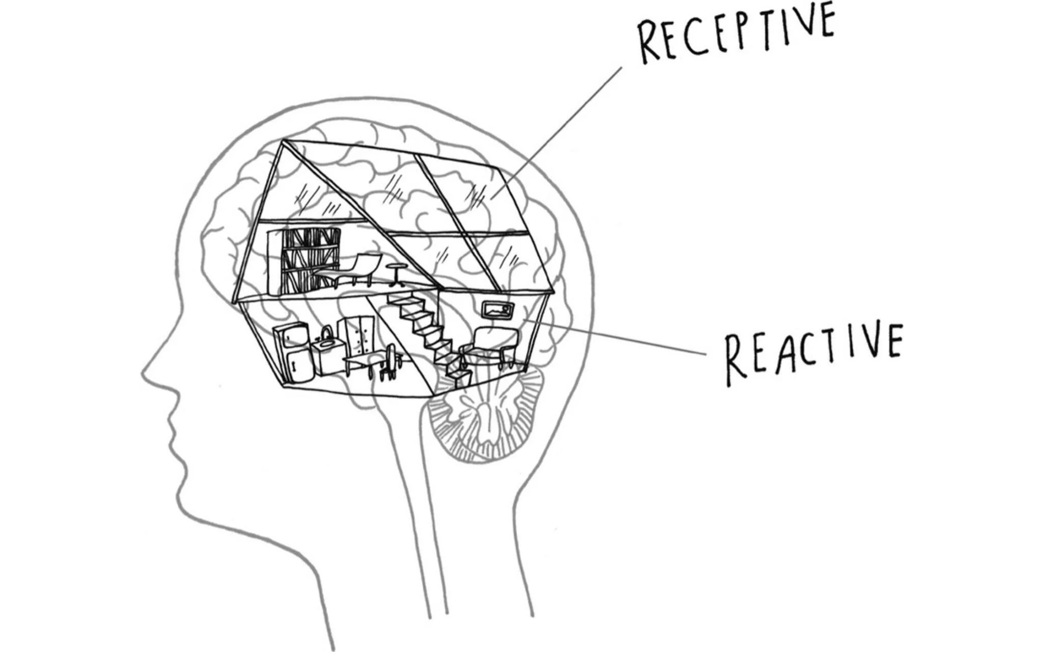 Upstairs downstairs brain.jpg