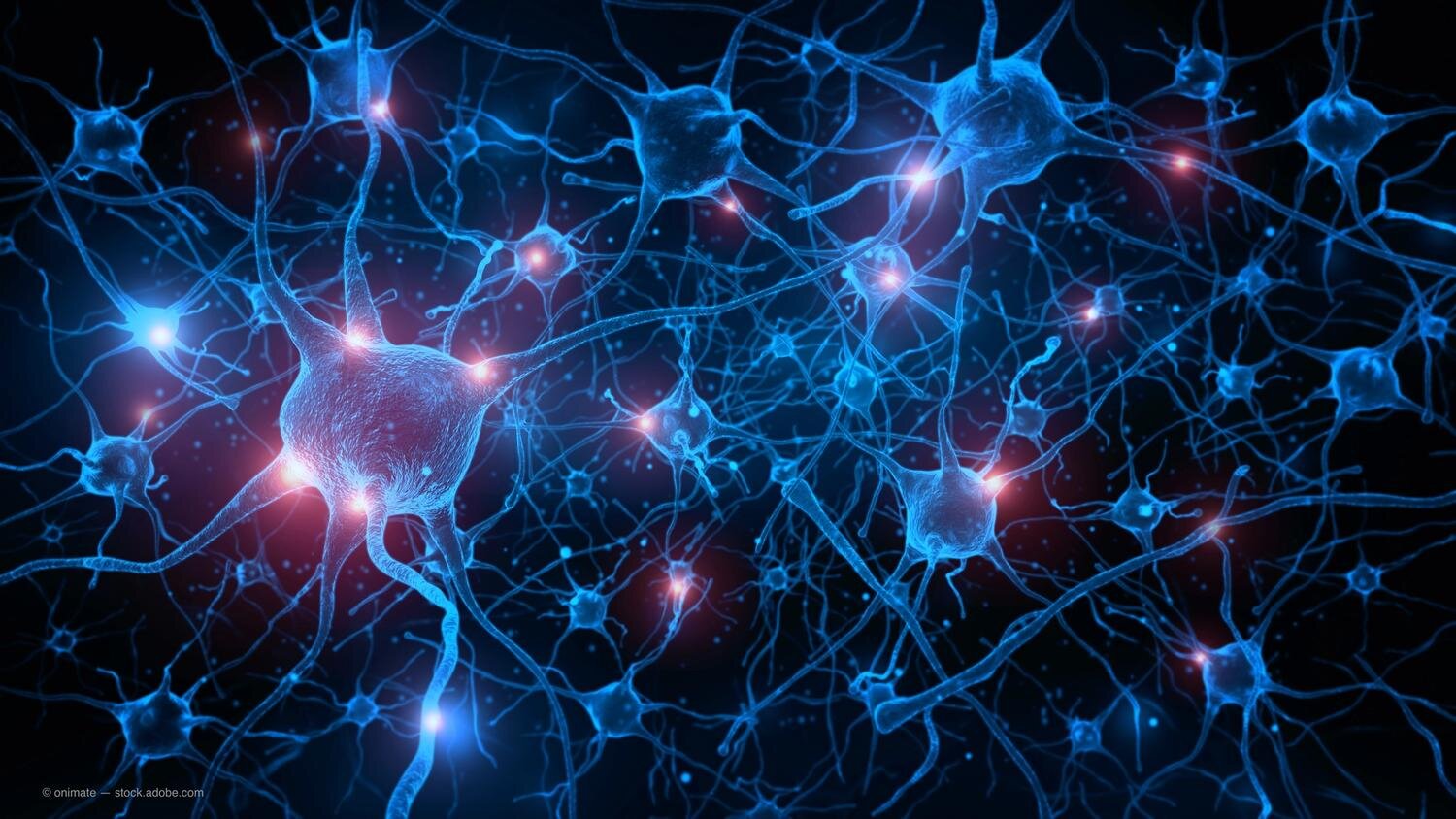 neuron brain cells.jpeg