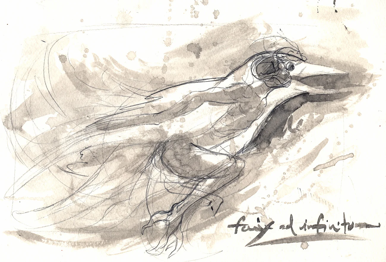 Fenix ad Infinitum - Ink and Coffee on Paper, 8x6"