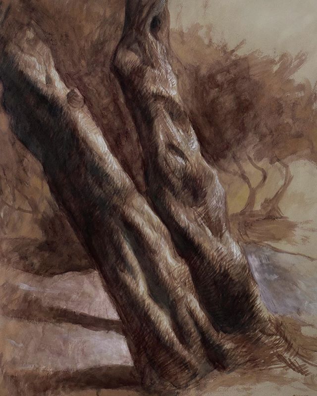 My nature ink drawings will be showing at the Gage Connections Group Show!
Opening tonight! At 5:30 a 7:30 PM
(on display until October 12) @ University House Wallingford.
#ink #drawings #artshow #trees #birds #seattleart #natureart #seattle #northwe