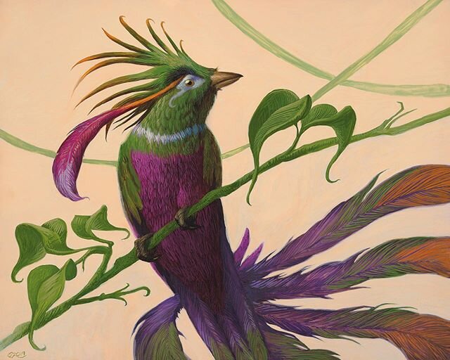 Birds of Paradise. Gouache on panel, 10x8&rdquo;. This was made for a Magic:  The Gathering card, as far as I know the first illustrated by a Guatemalan. The style is based on the beautiful naturalistic Audubon bird illustrations. I based the design 