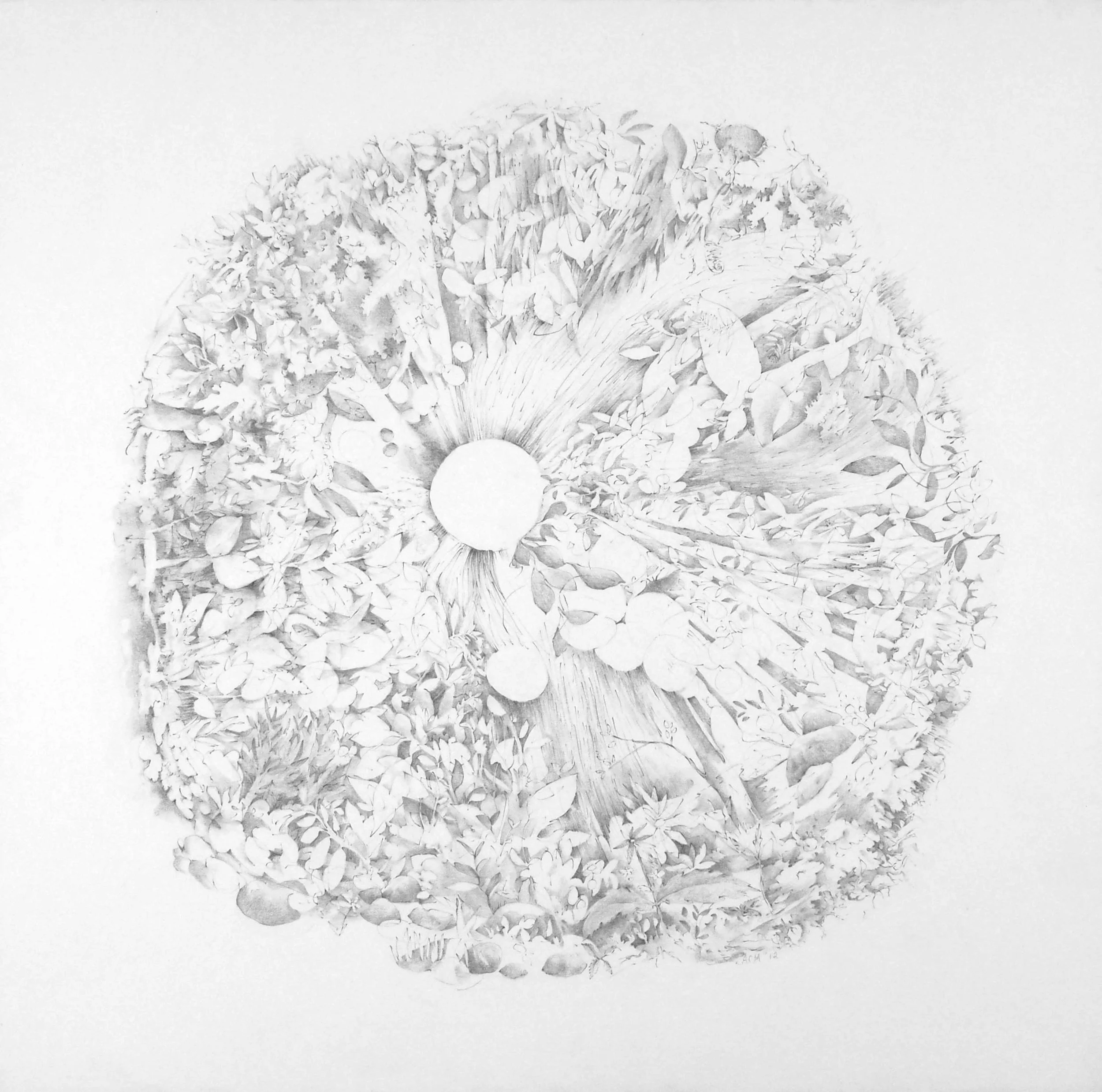 Landscape system V