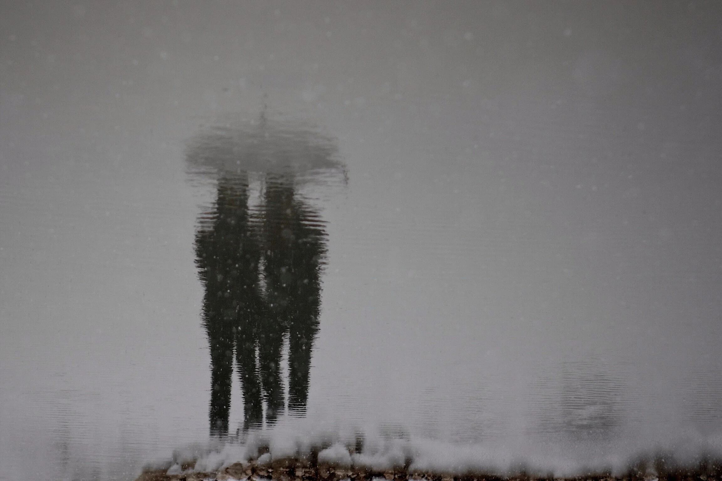 Seasonal Affective Disorder