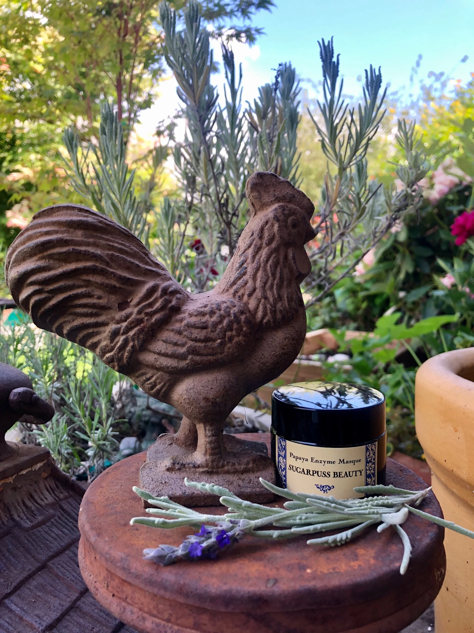 EA4AE78E-6E94-4C32-82E3-E135766D1957