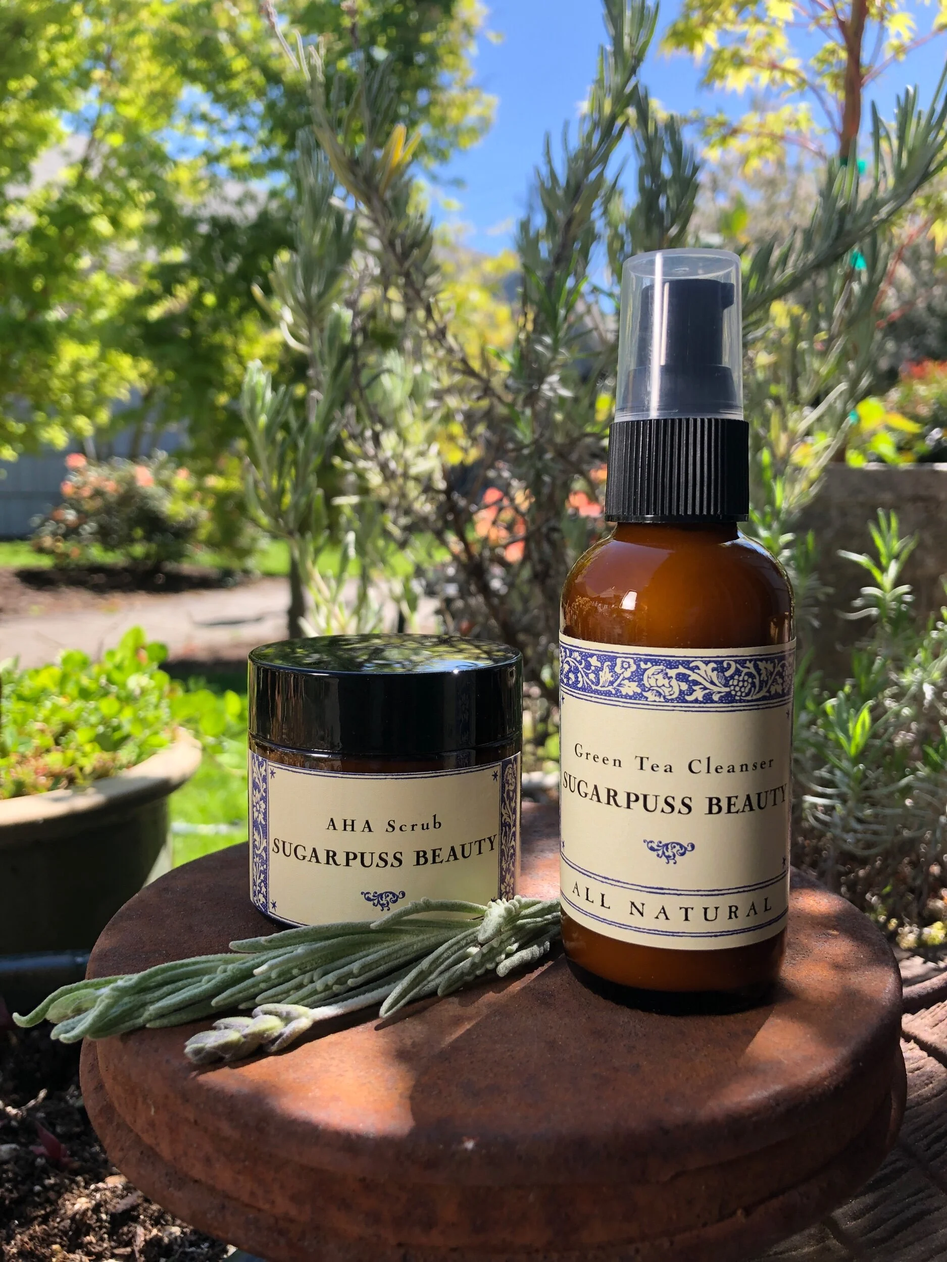 C3160095-243C-4C6C-A8FE-77182563C6C6