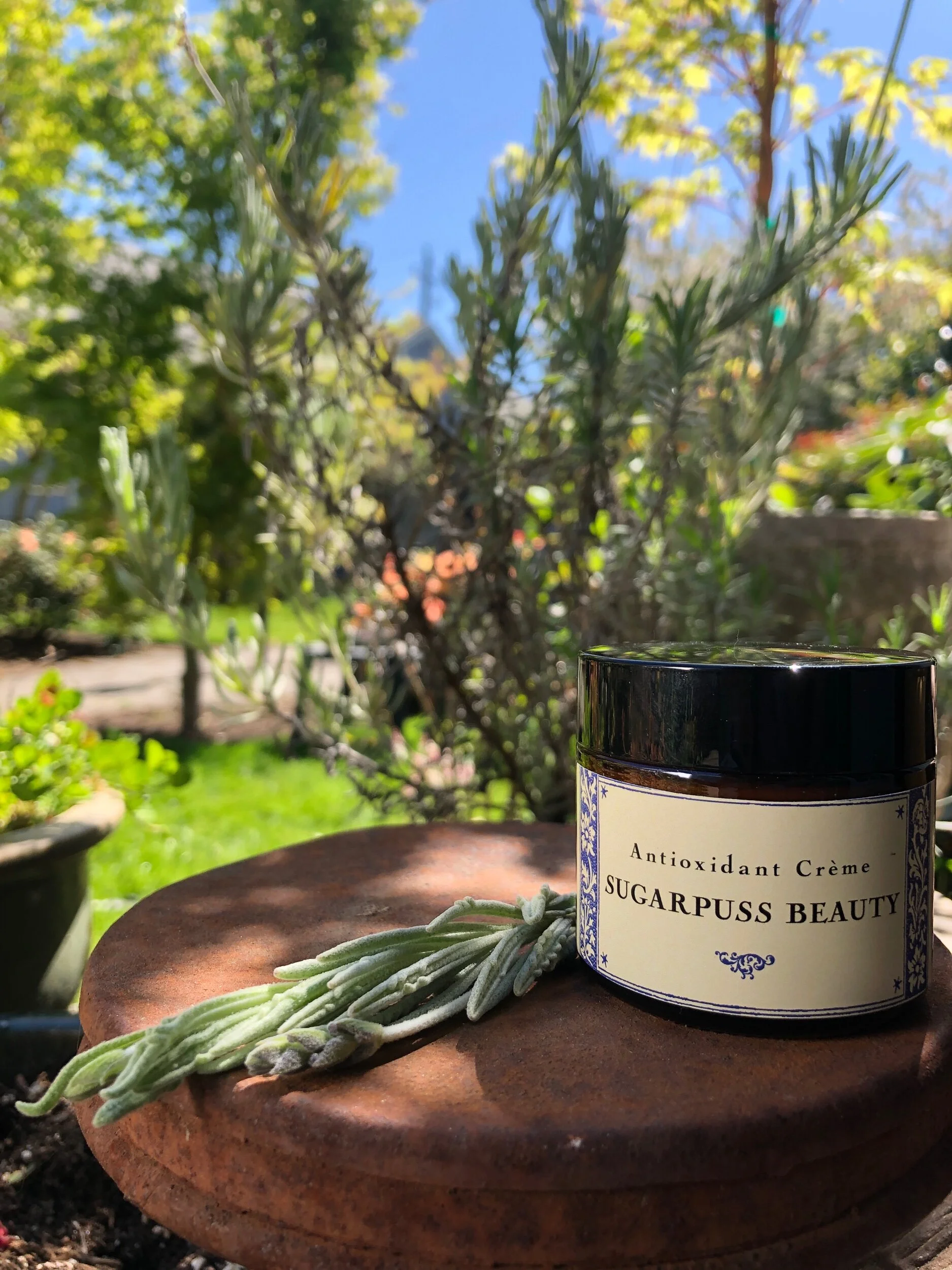 4D24FB03-A9CE-49EF-BA80-B9532F1CBED5