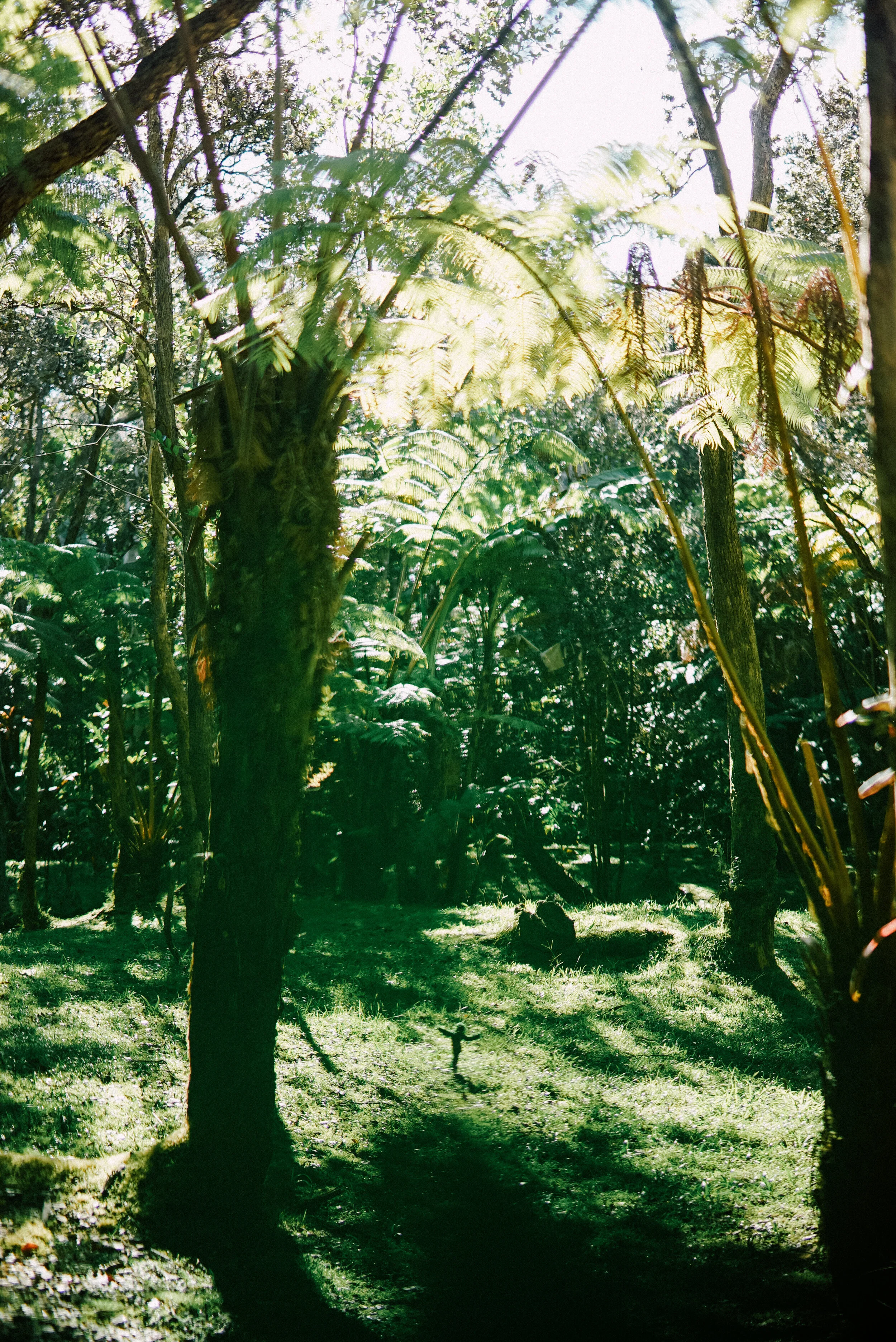 mosster-82.JPG