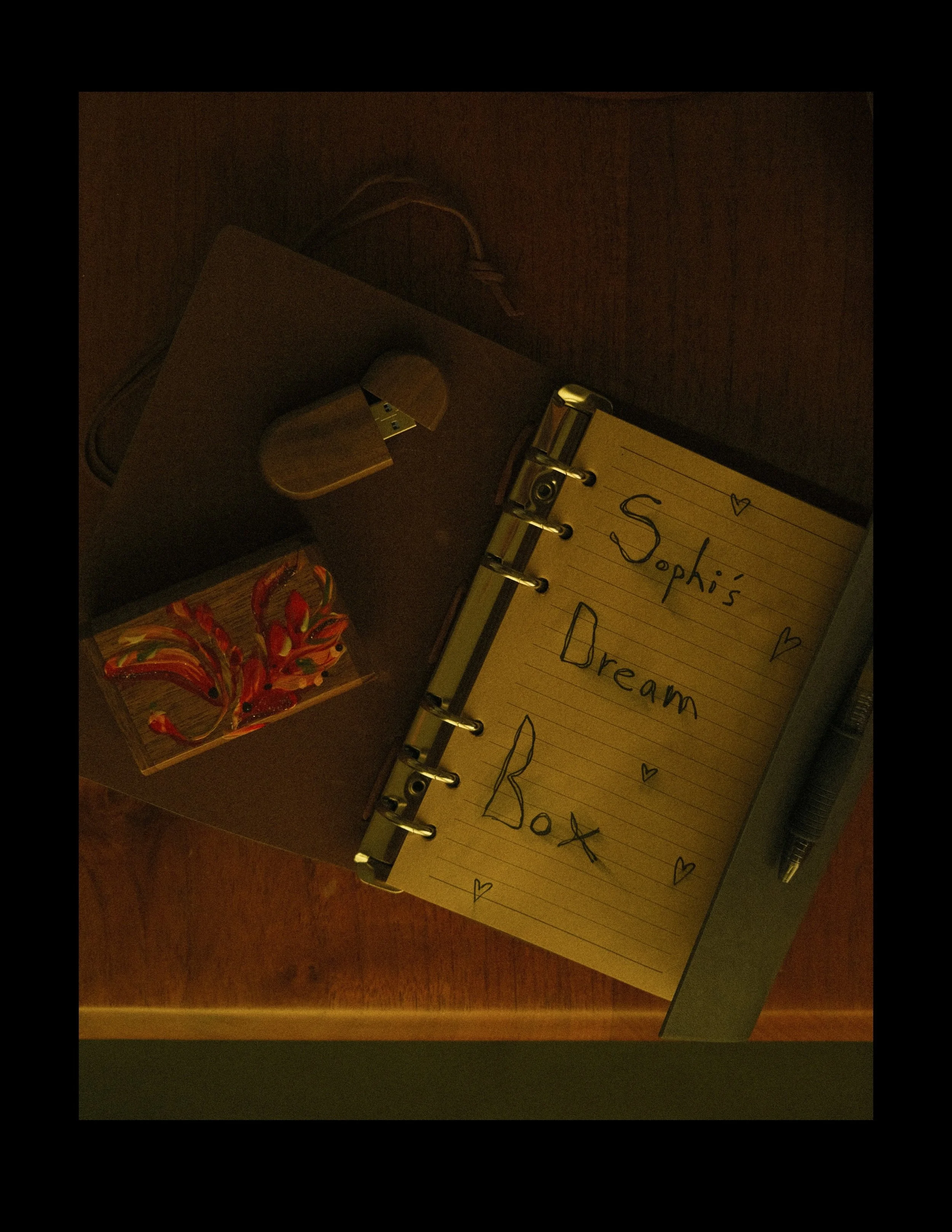 Sophi's Dream Box COVER .jpg