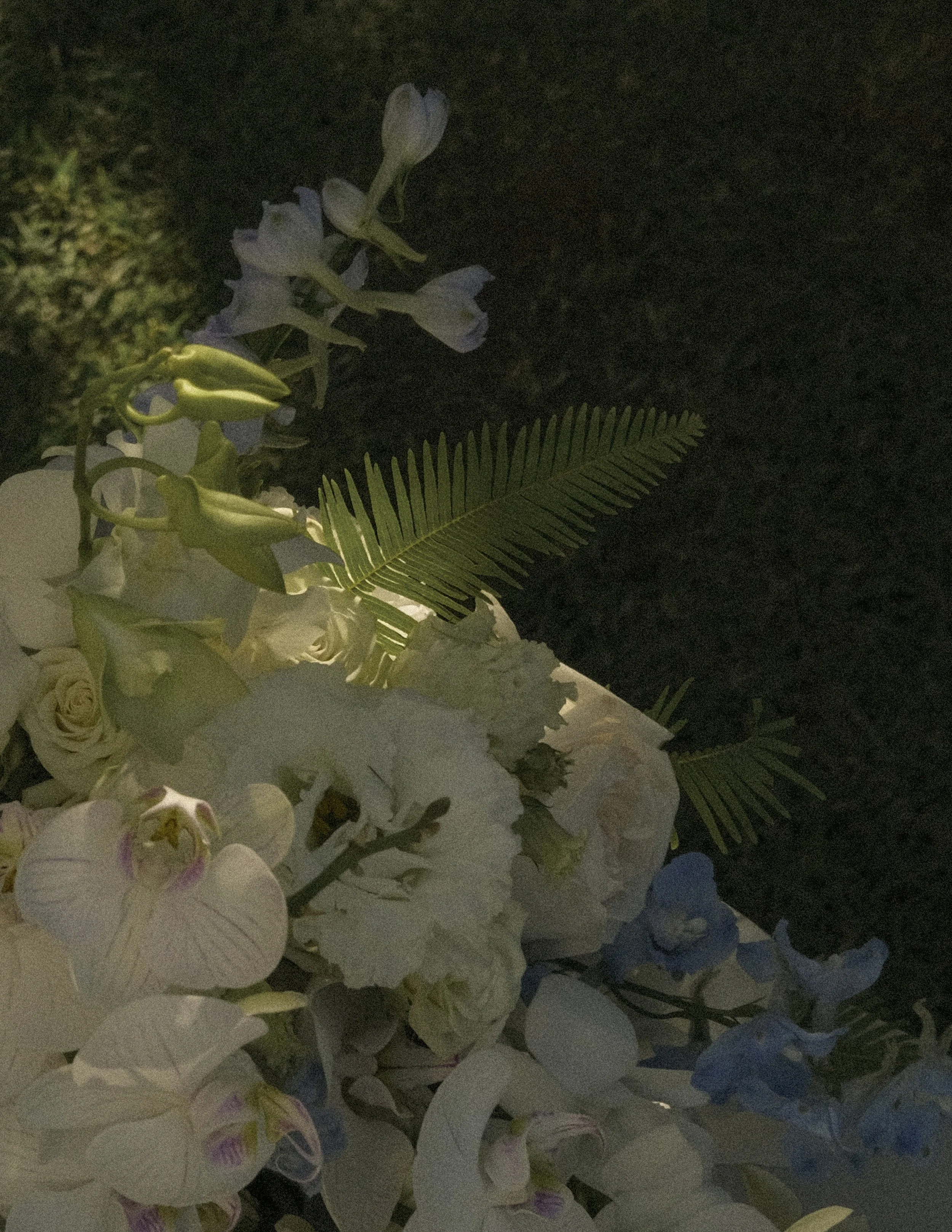 Kayla and Jake Look Book 41 .jpg