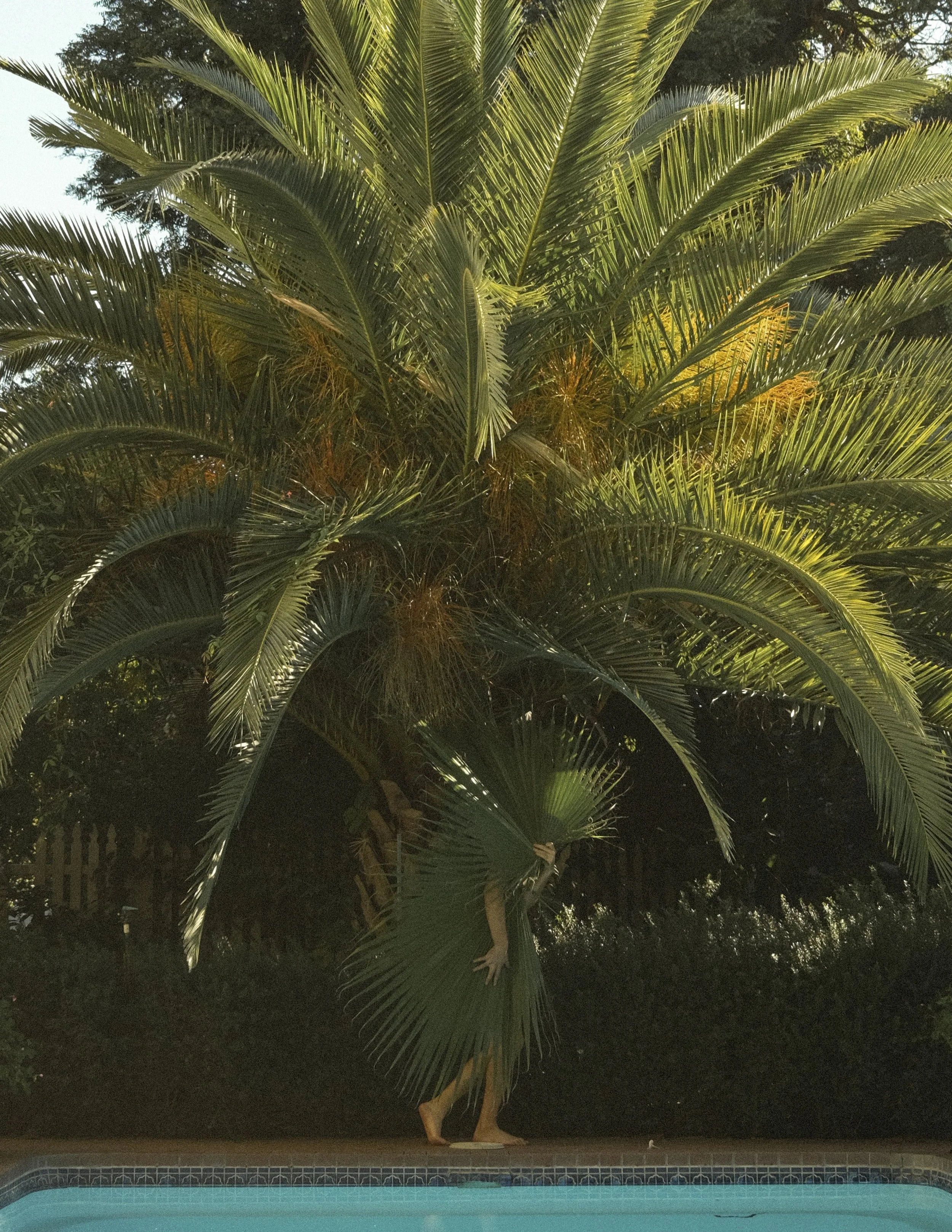 DAVID CRAZY BEAUTY 1.jpg