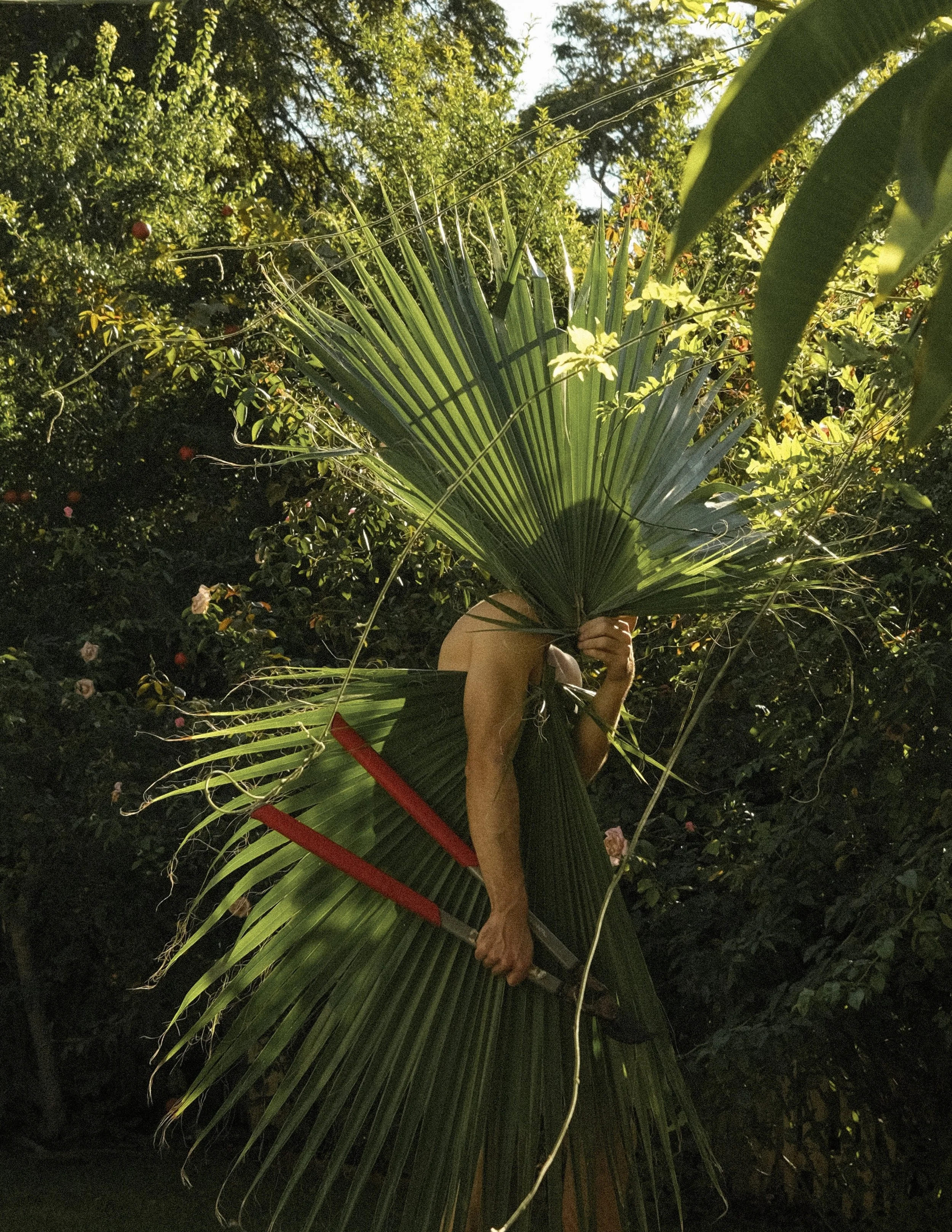 DAVID CRAZY BEAUTY 3.jpg