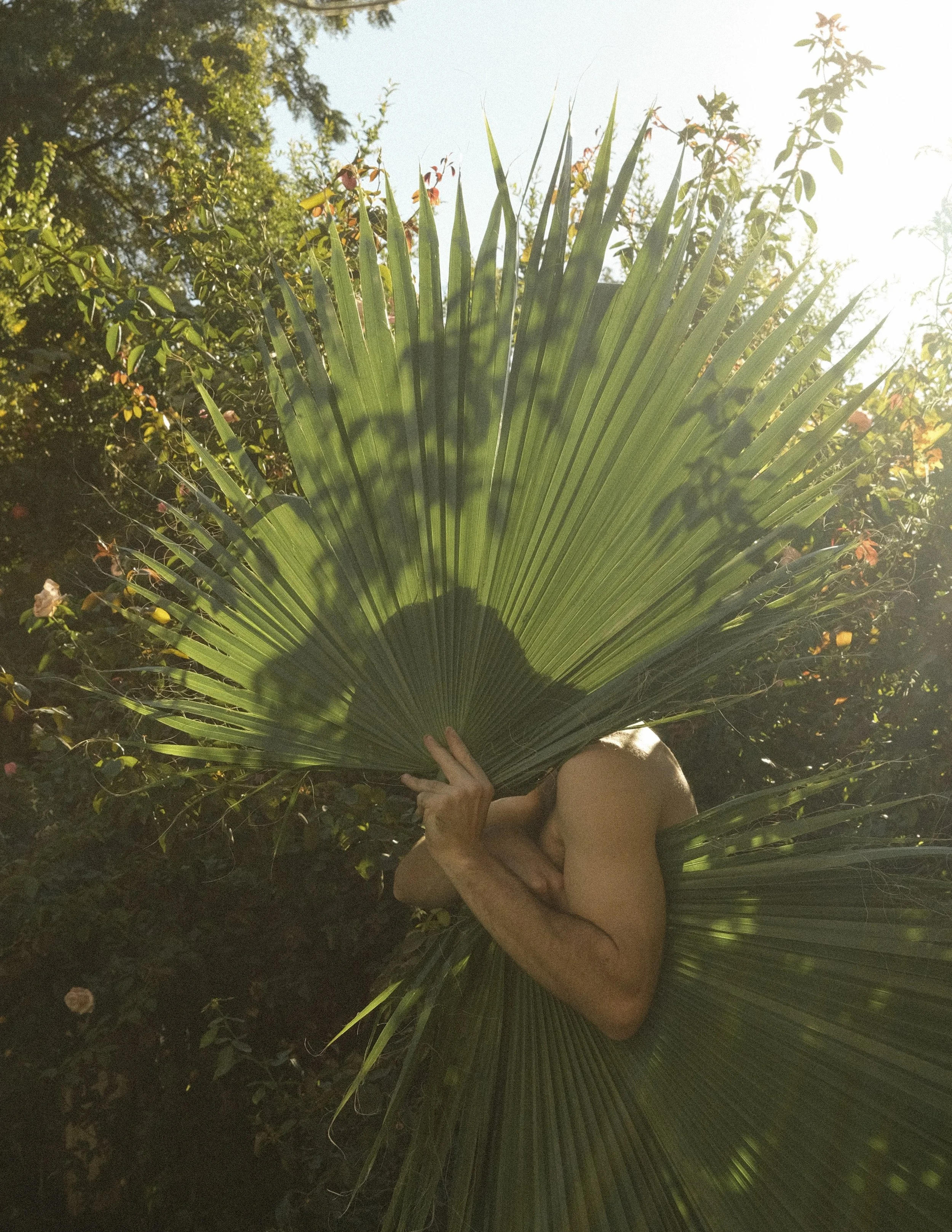 DAVID CRAZY BEAUTY 5.jpg