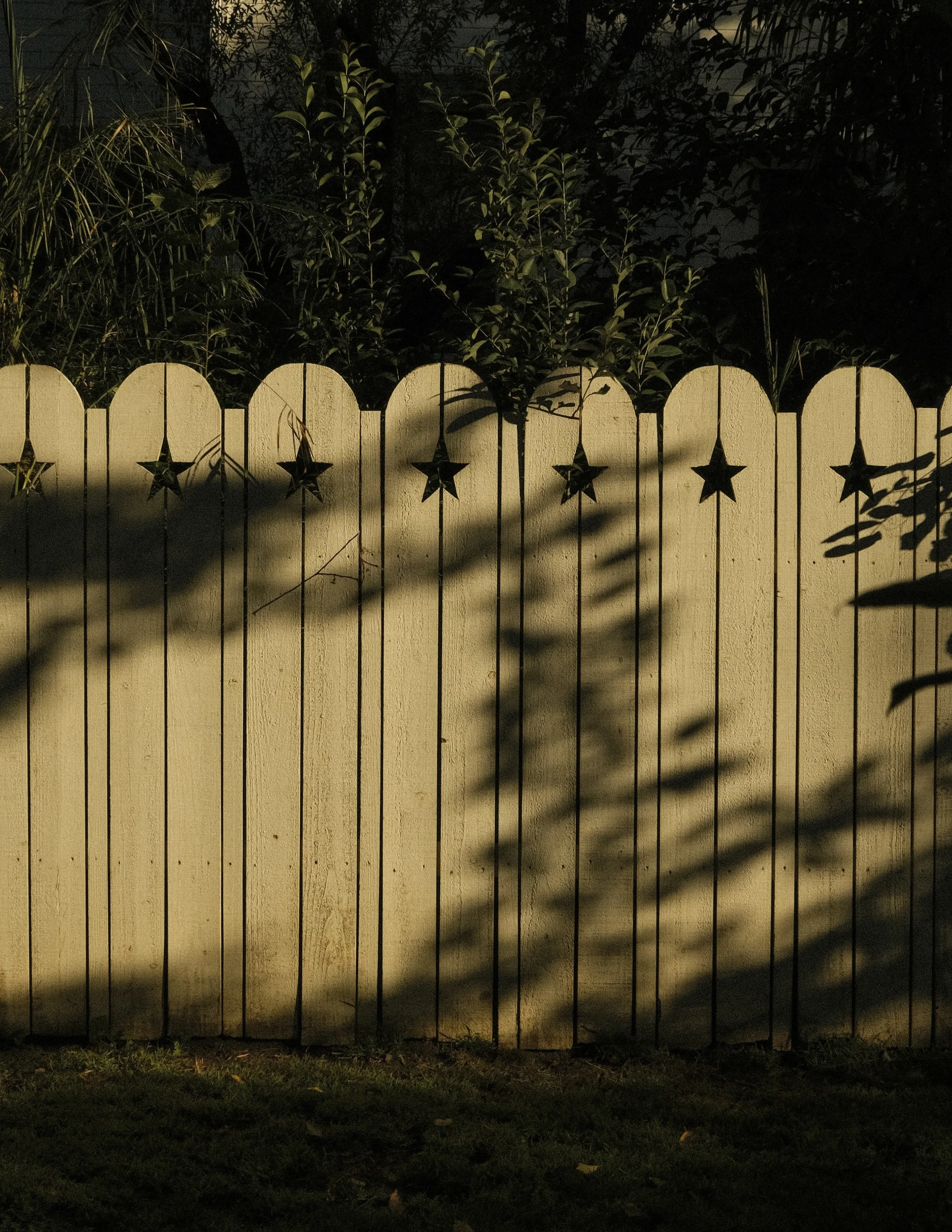 DAVID CRAZY BEAUTY 7.jpg