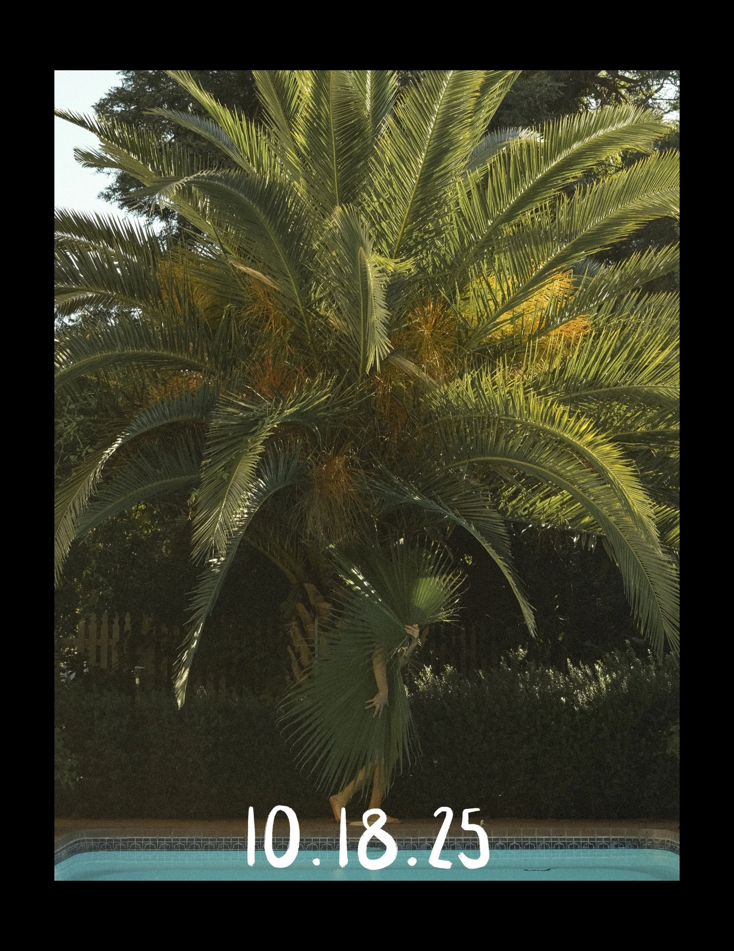 DAVID CRAZY BEAUTY 8 COVER.jpg