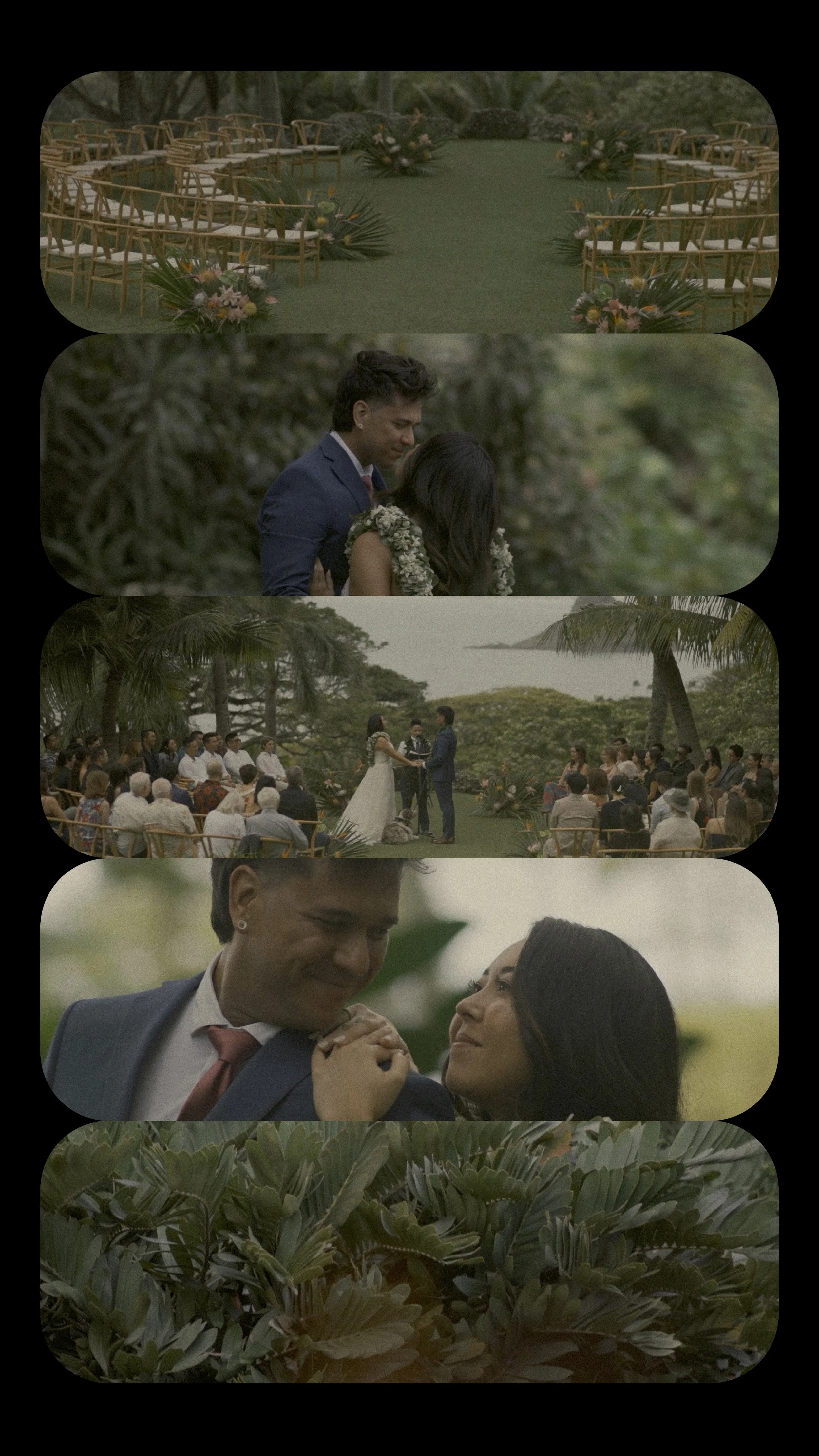 Shion and Frank Insta Cover.jpg