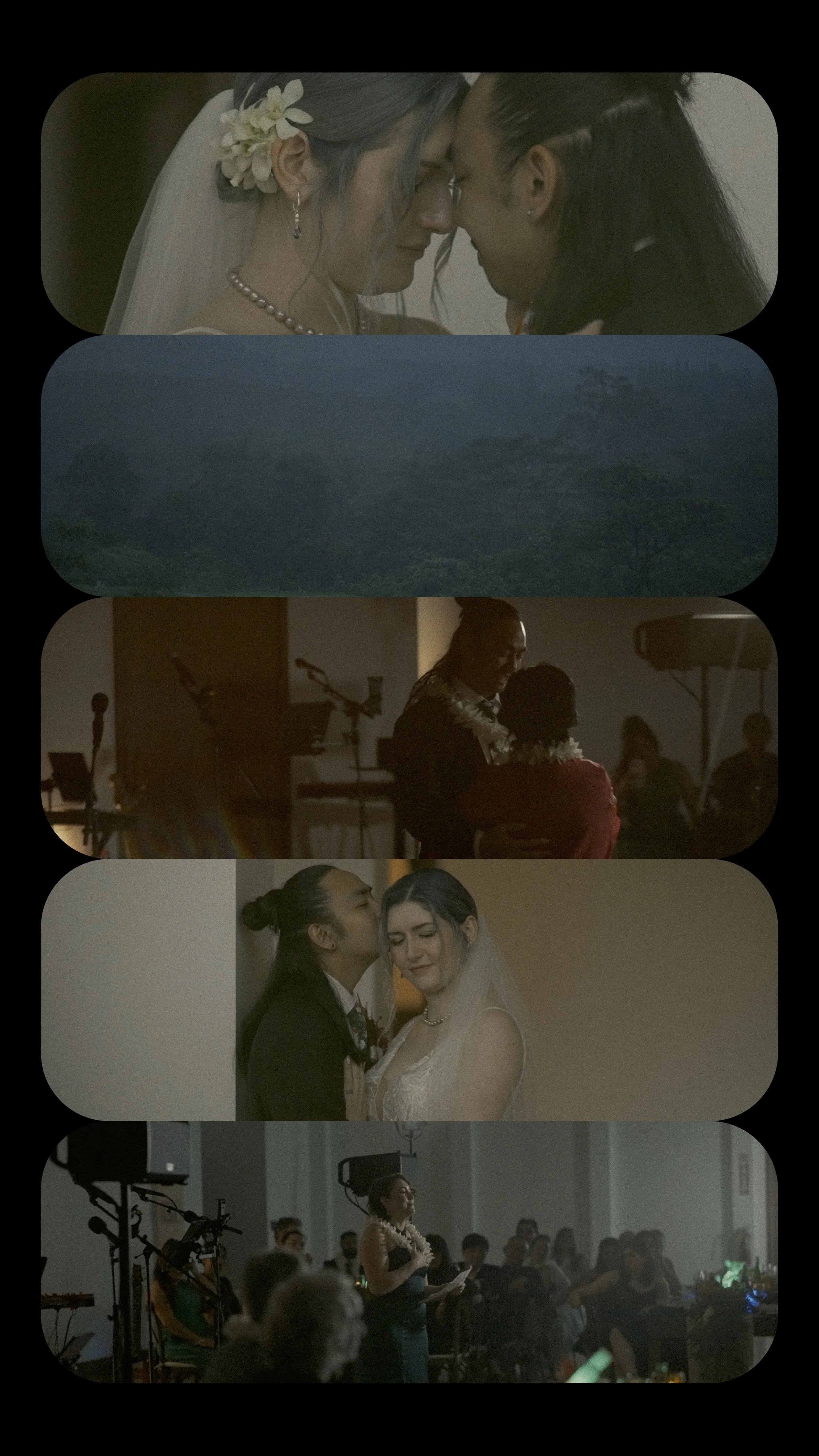 INSTA COVER TALIA AND DANIEL.jpg