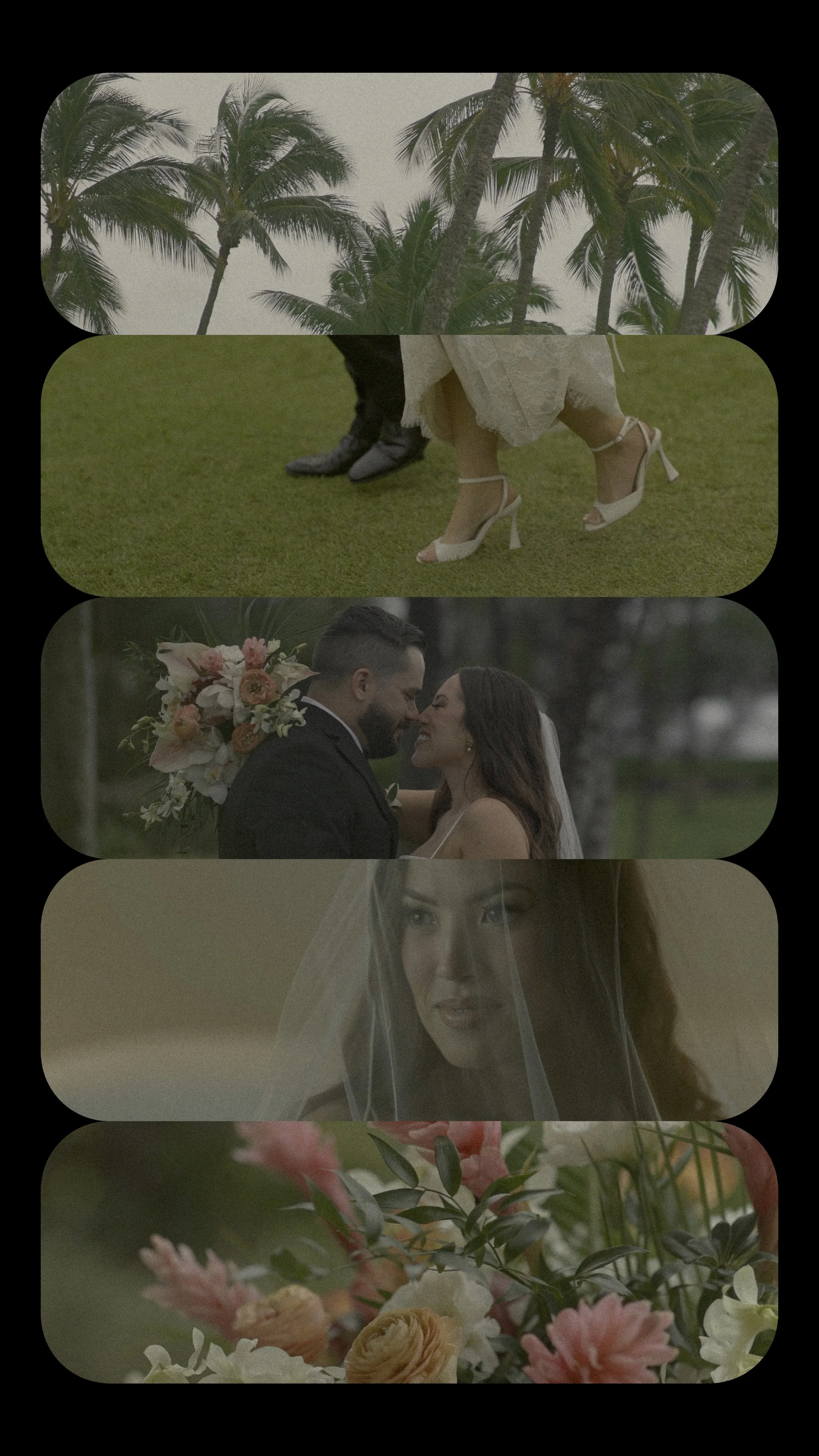INSTA COVER CATALINA AND SABIN .jpg