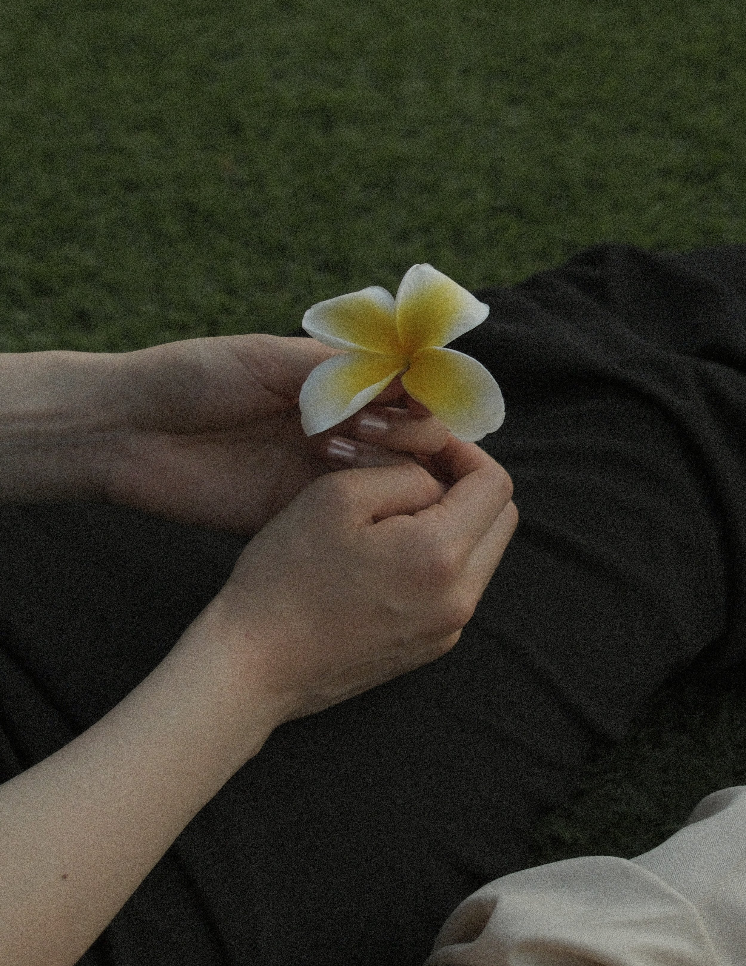 D_Y_LOOKBOOK_198.jpg