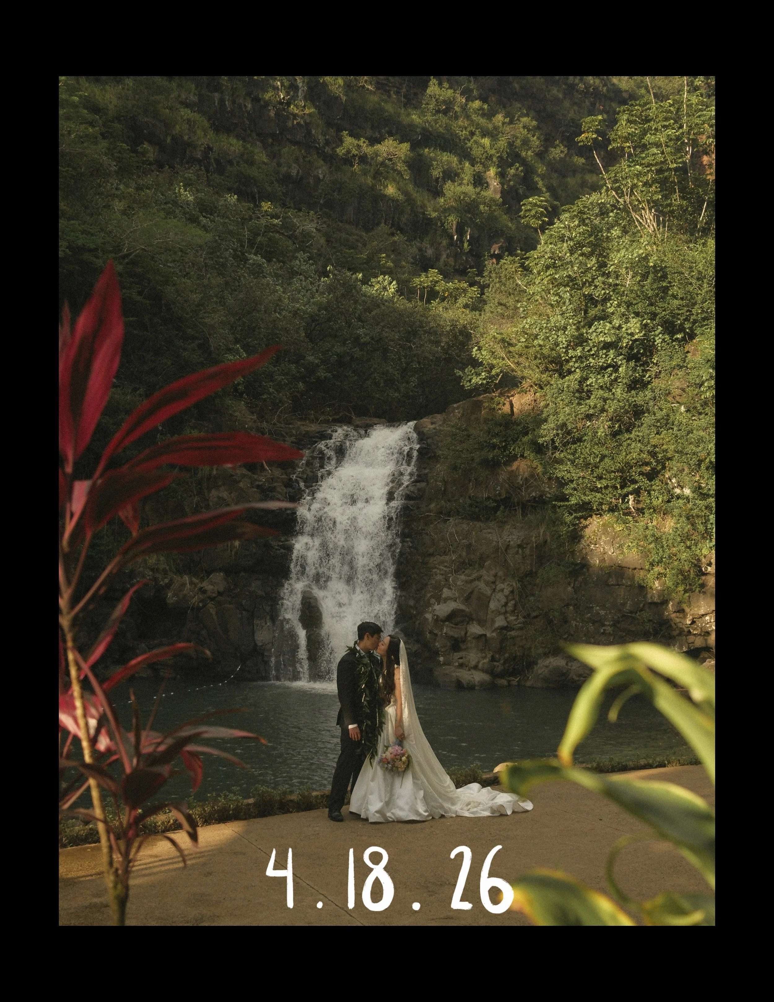 LOOK BOOK COVER .jpg