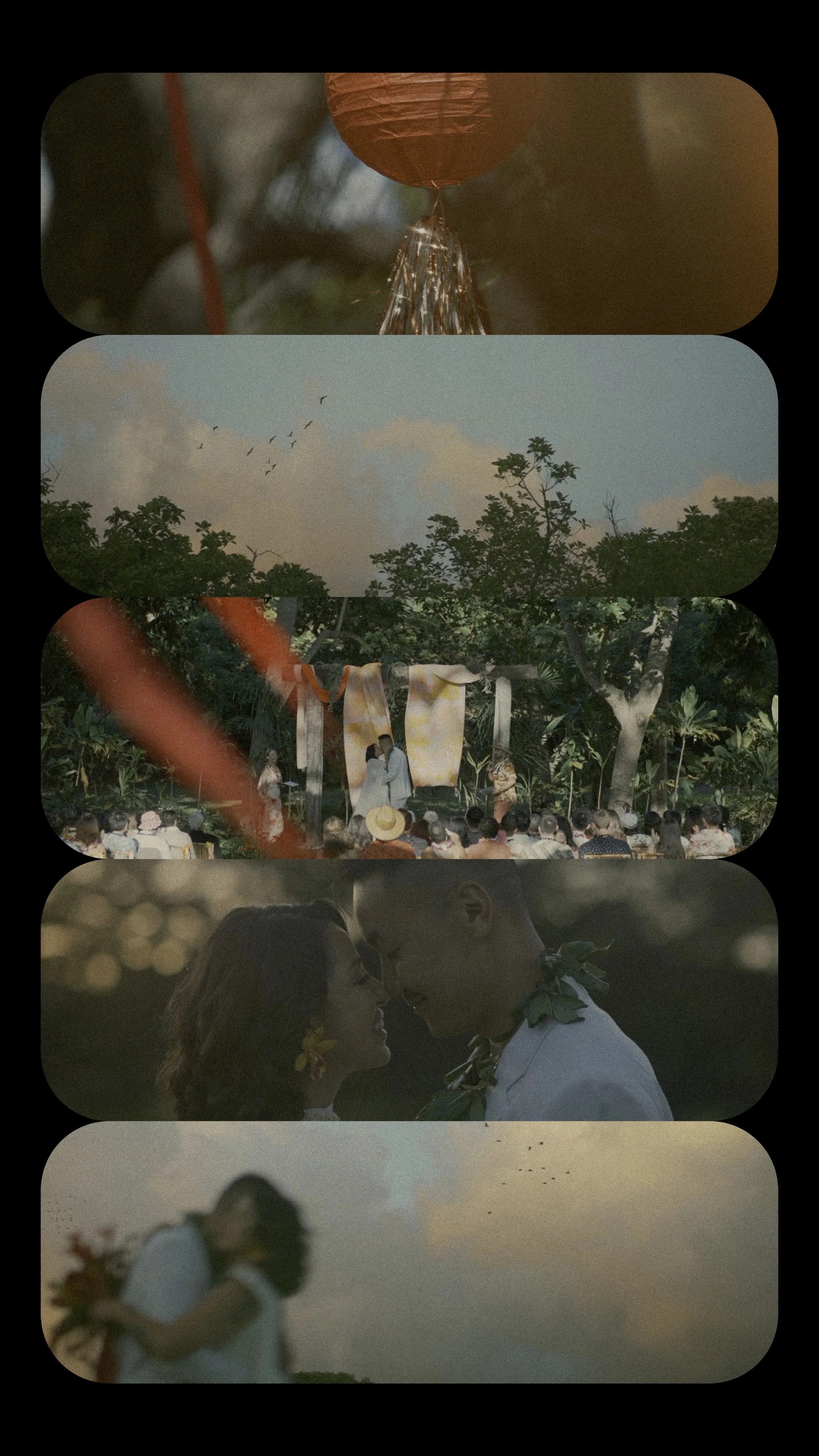 INSTA COVER NICOLE AND DAVID.jpg