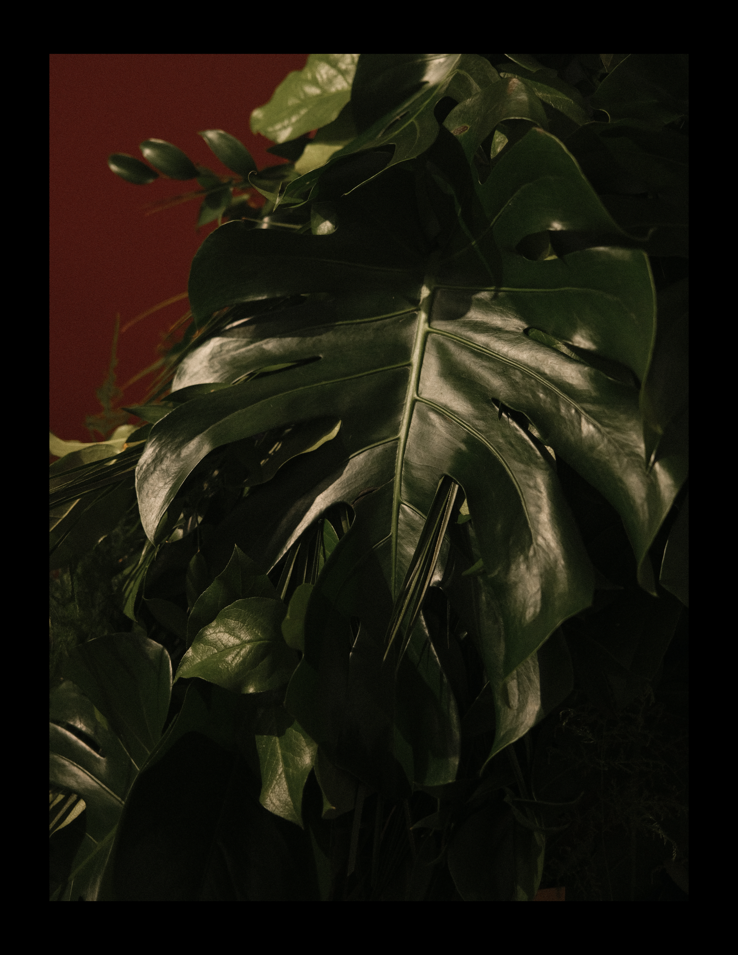 page 62.png