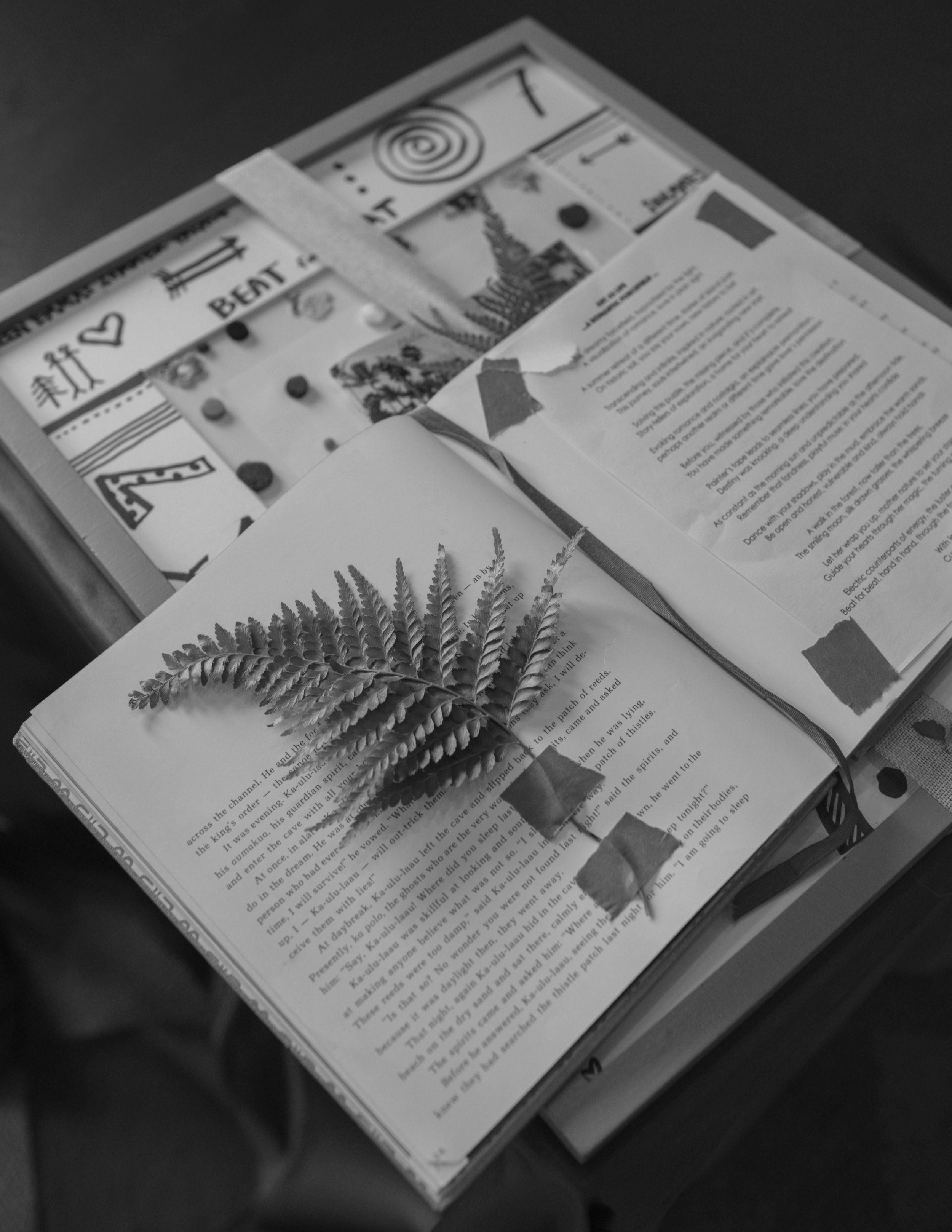 page 147.png
