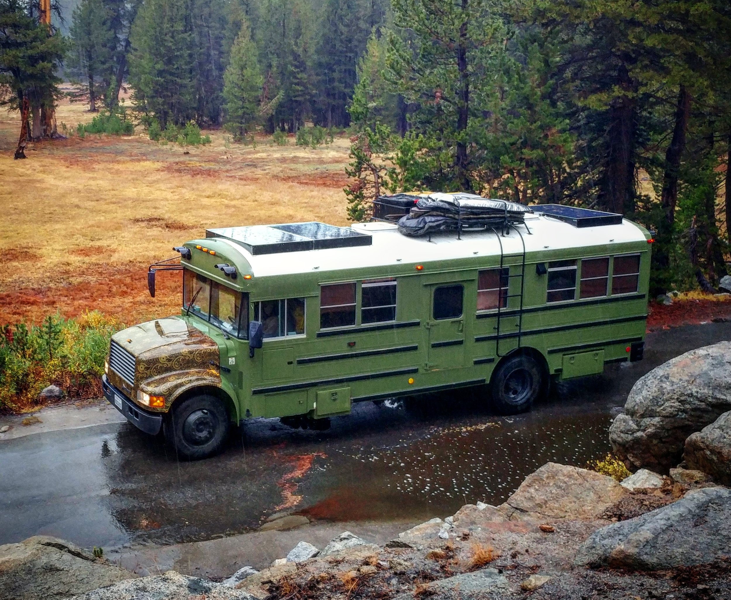 cropedbus.jpg