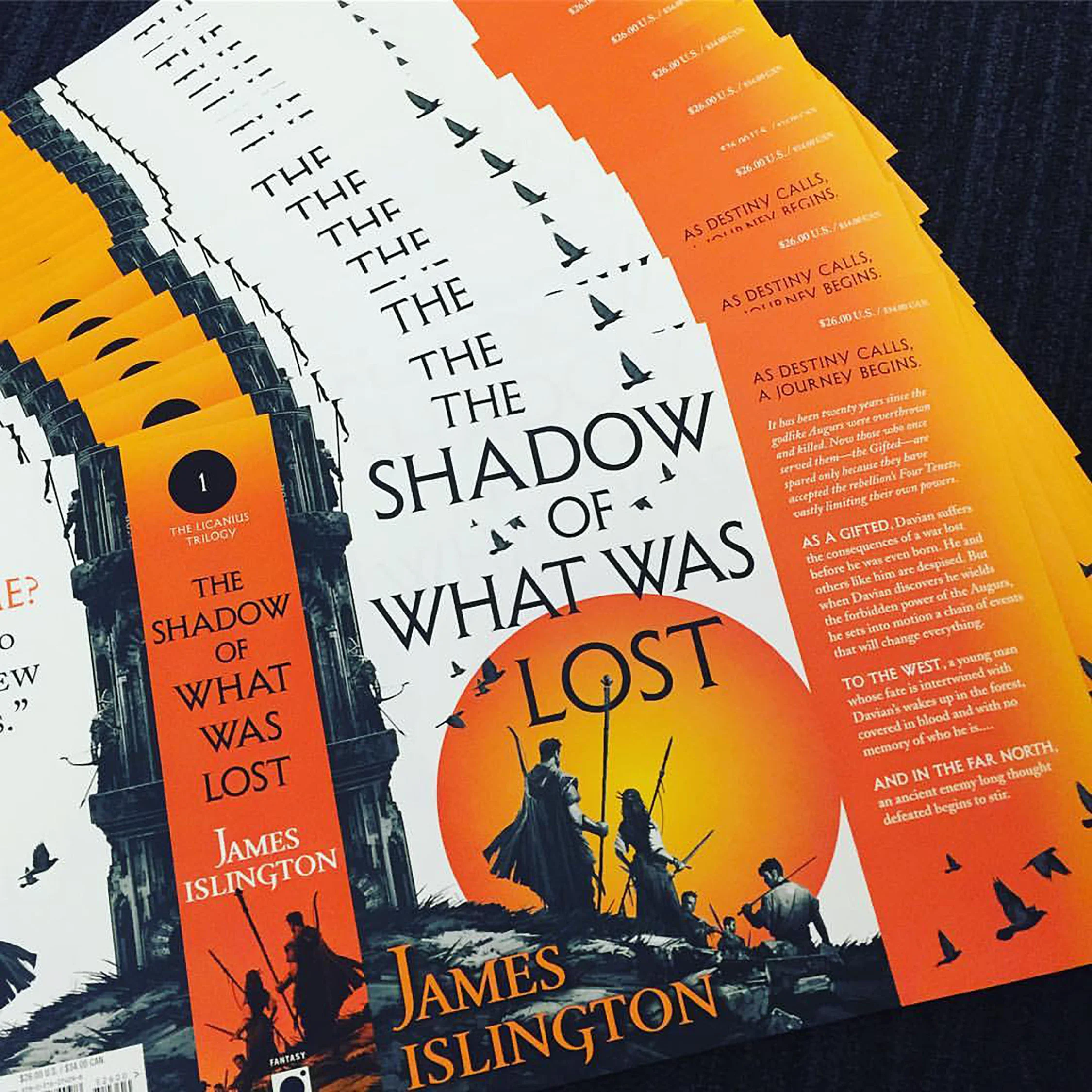 The Shadow of What was Lost Cover - Dominick Saponaro.jpg