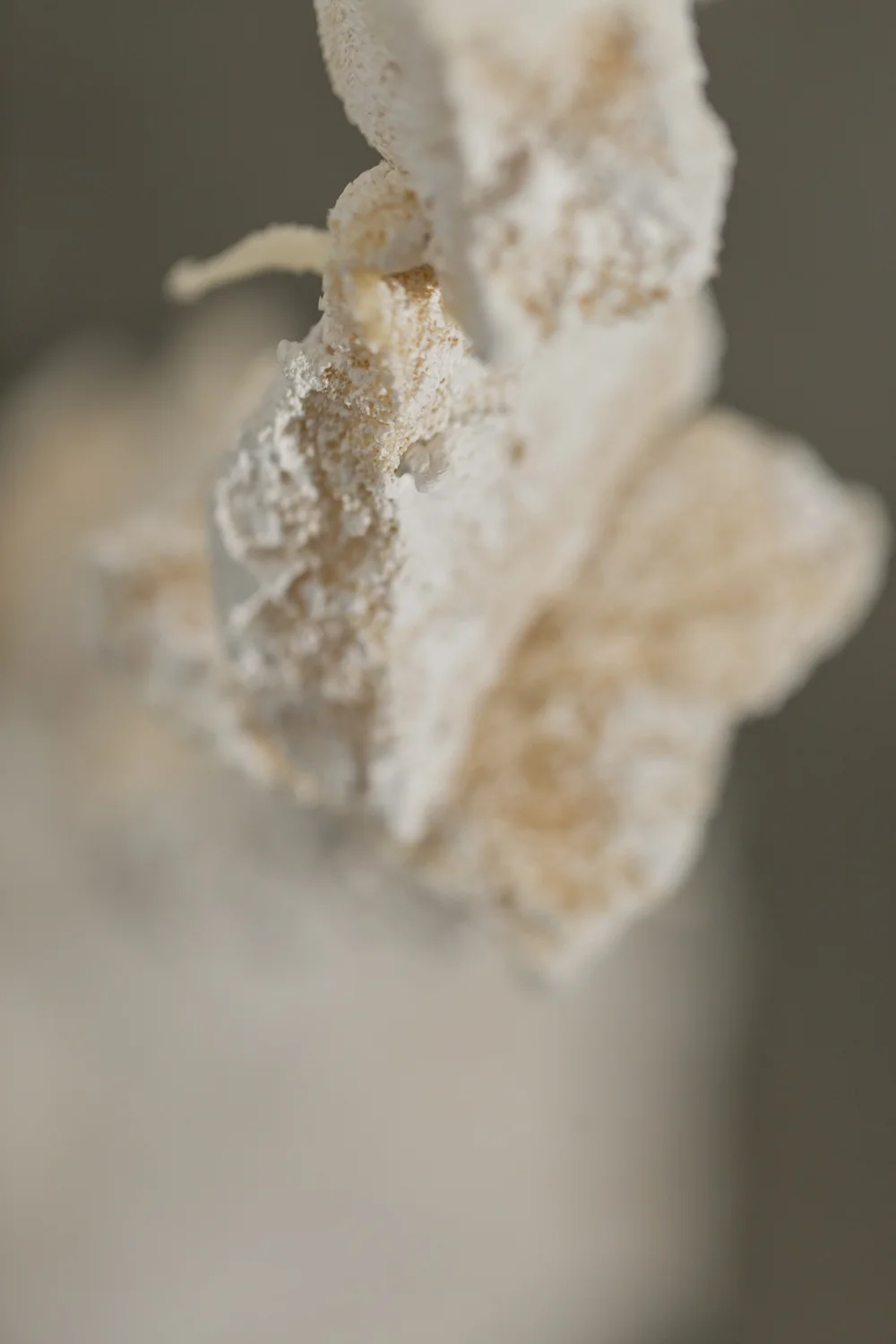 AlexandraMorrissette_Artwork_Dec2018_Web-65.jpg