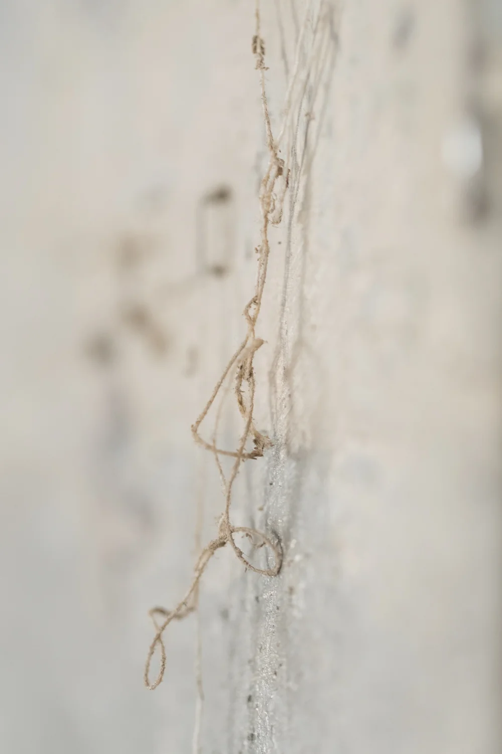 Alexandra_Morrissette_Art_June2018_Web_CORRECTED-30.jpg