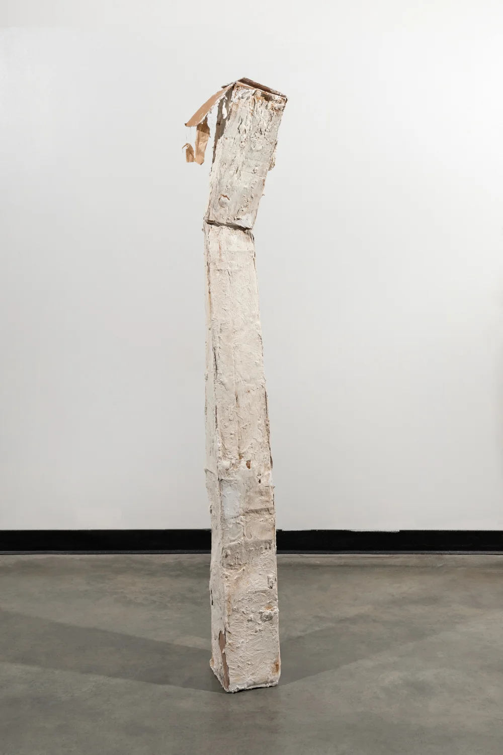   Inherent Duality   cardboard, plaster and oil  69” x 6.5” 