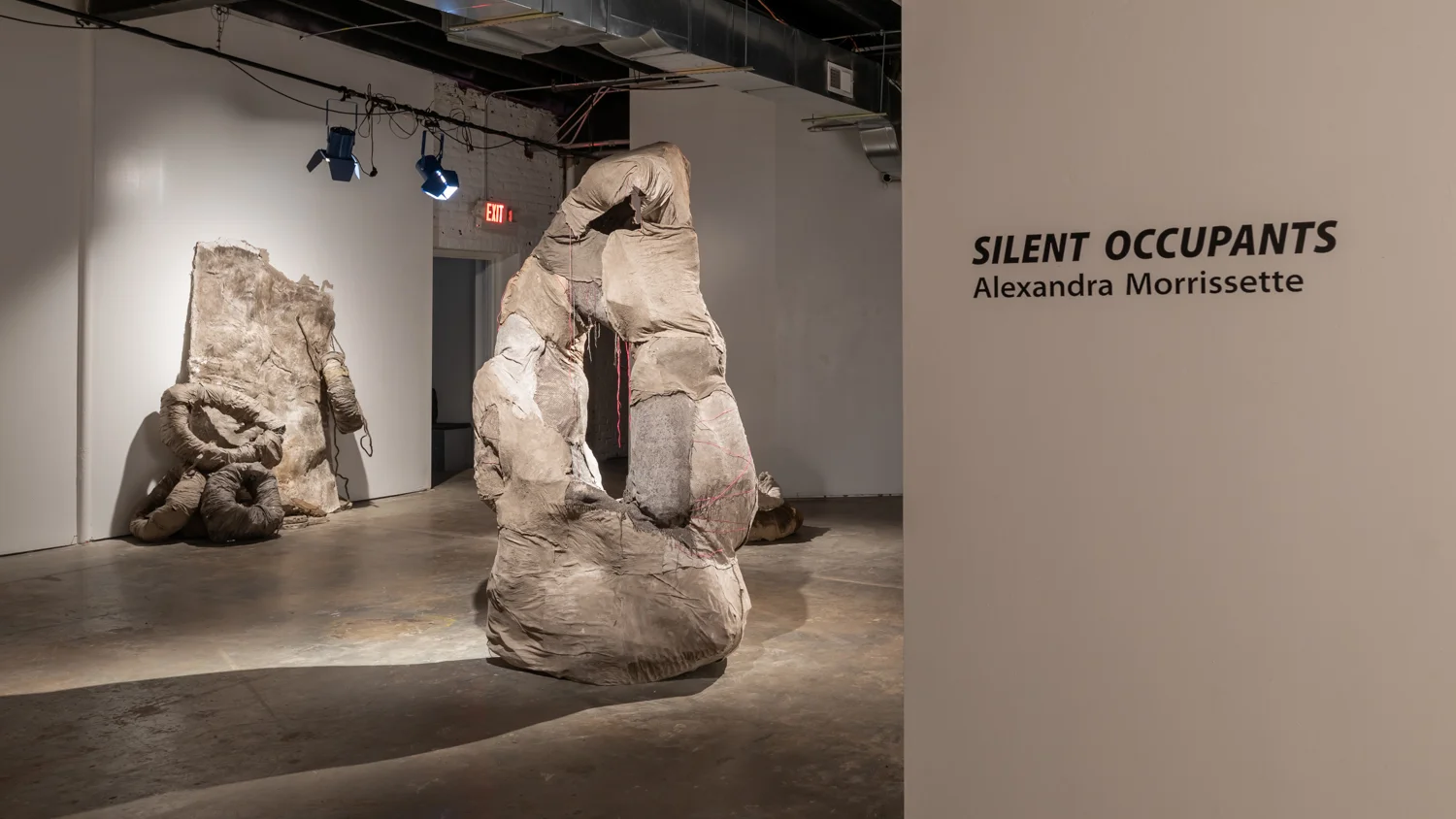 Silent_Occupants_AlexandraMorrissette_April2019_Web-4.jpg