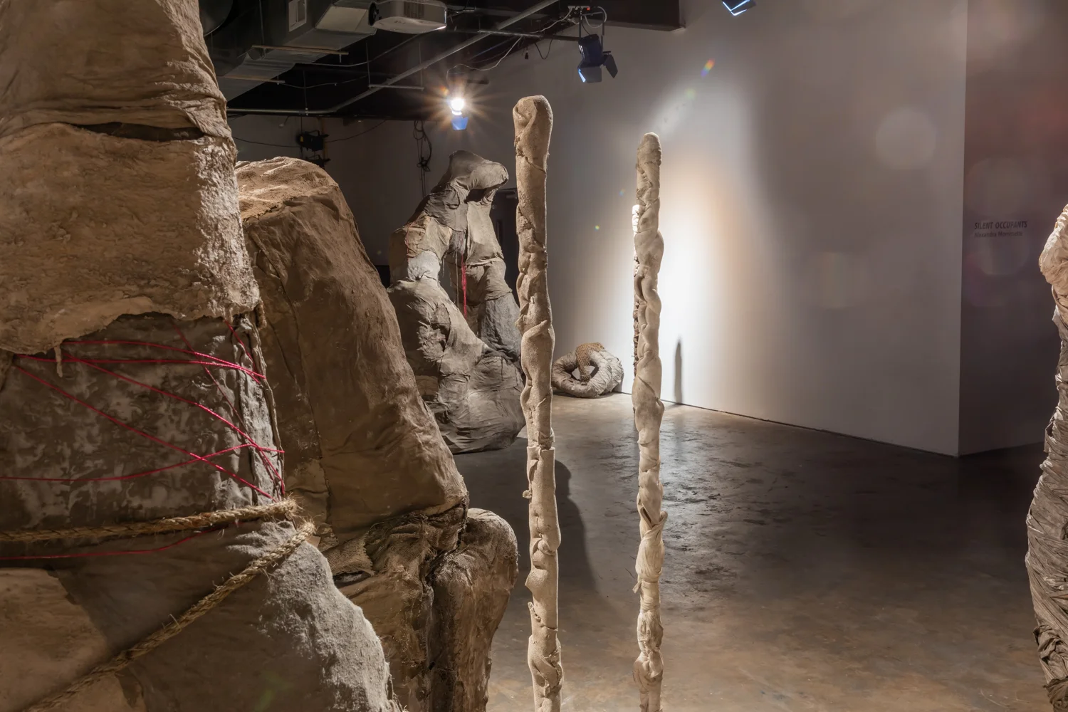 Silent_Occupants_AlexandraMorrissette_April2019_Web-13 (1).jpg