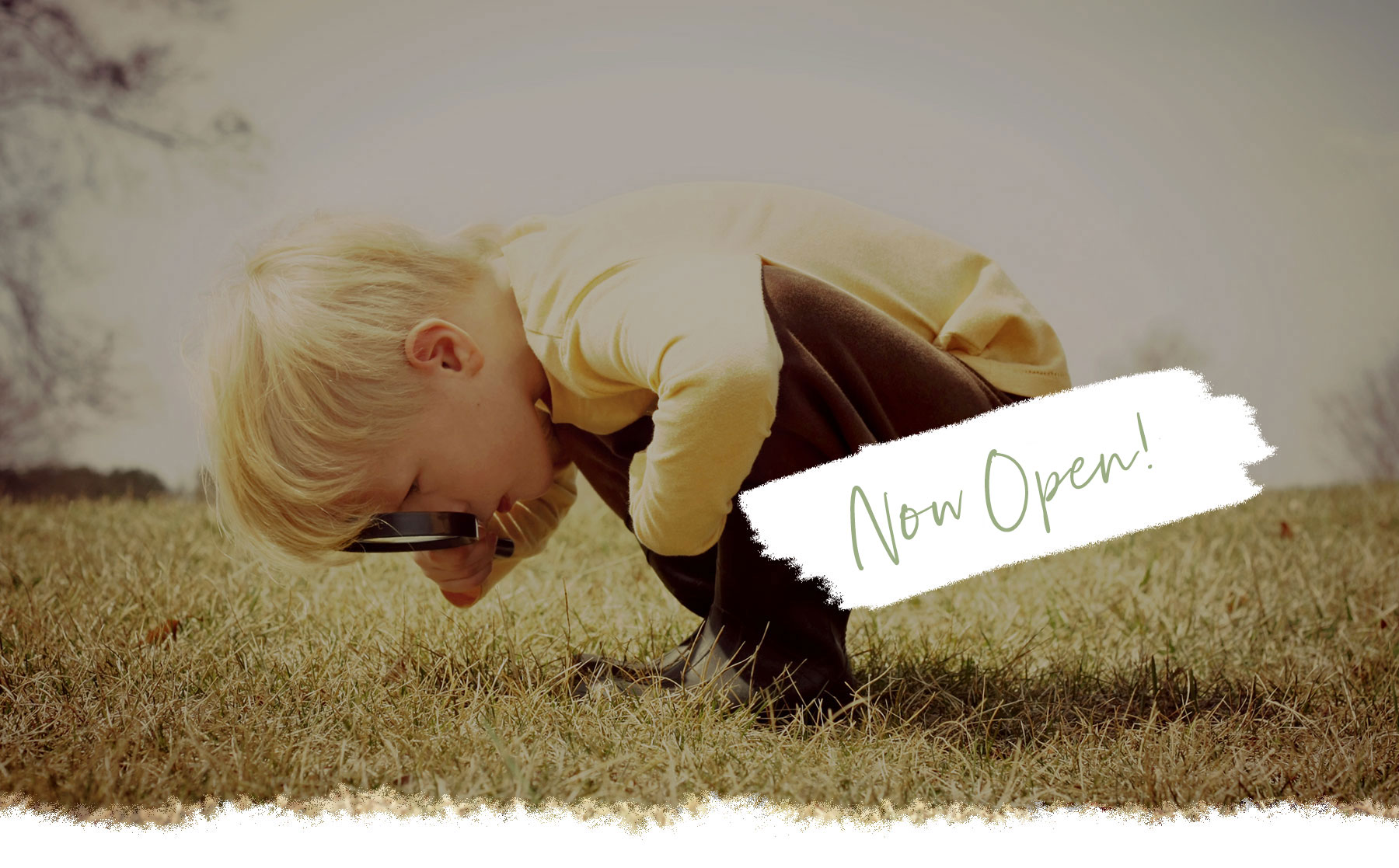 Bloomfields---Web-Banner---Open-Now.jpg