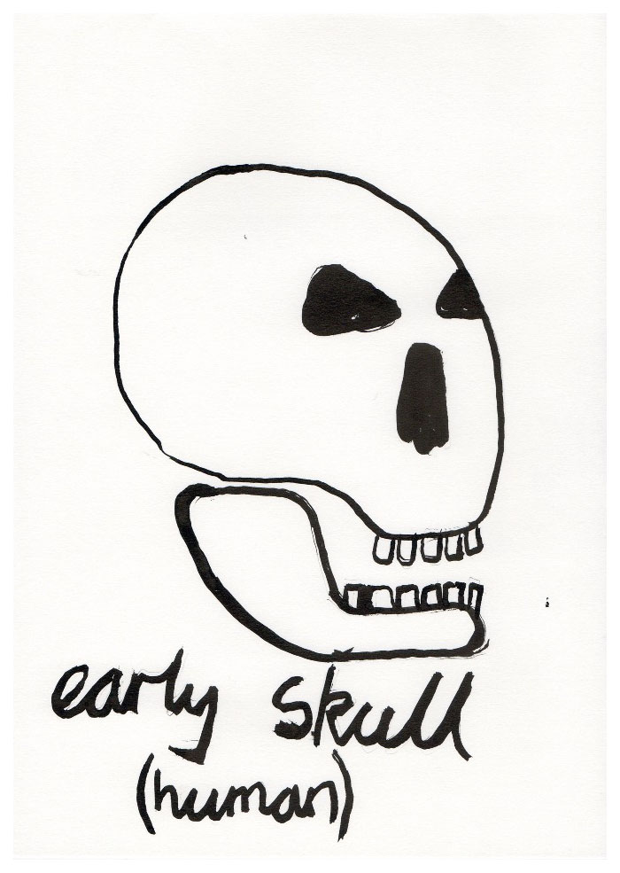skulls004.jpg