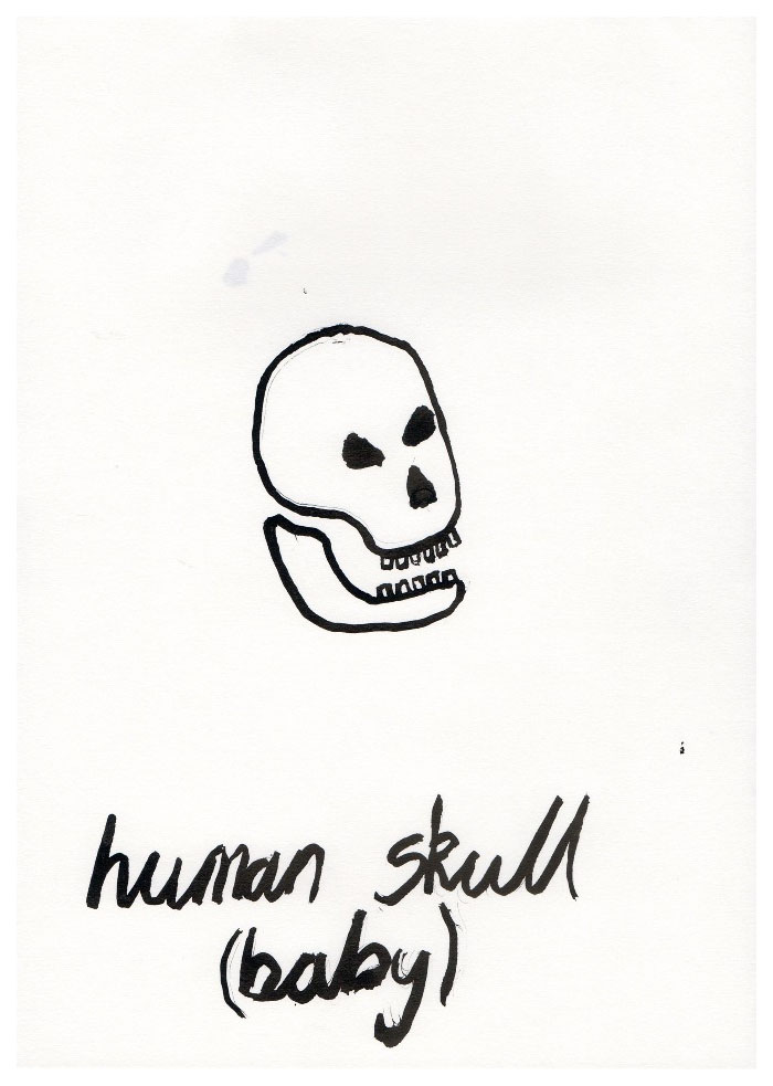 skulls006.jpg