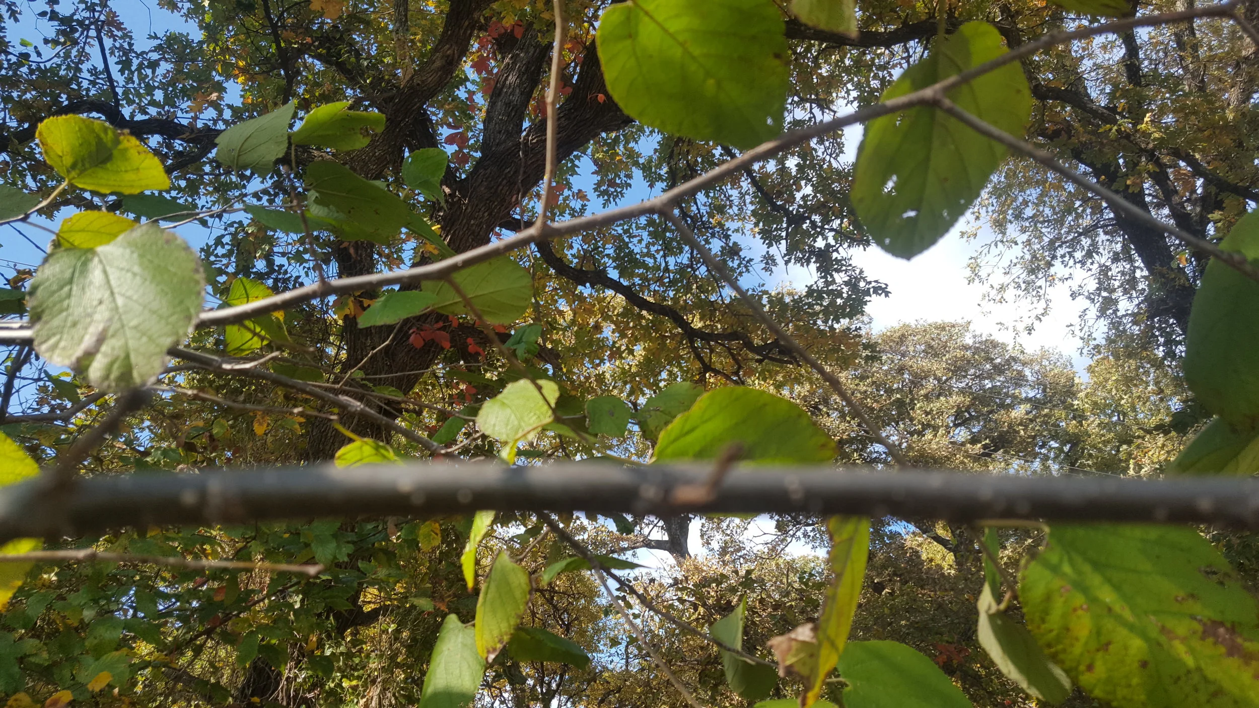 20161117_115626.jpg