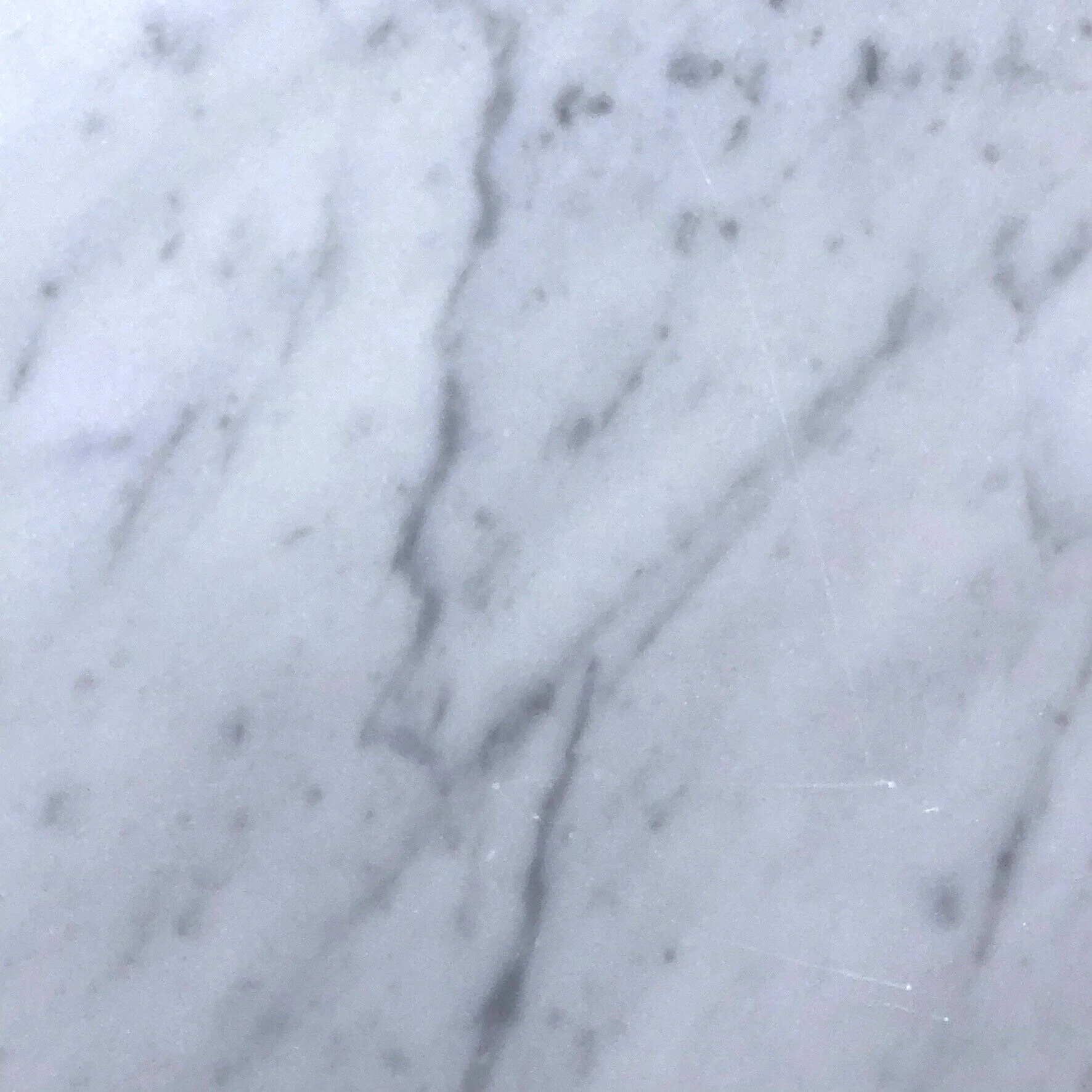 Carrara+Dtl.jpg
